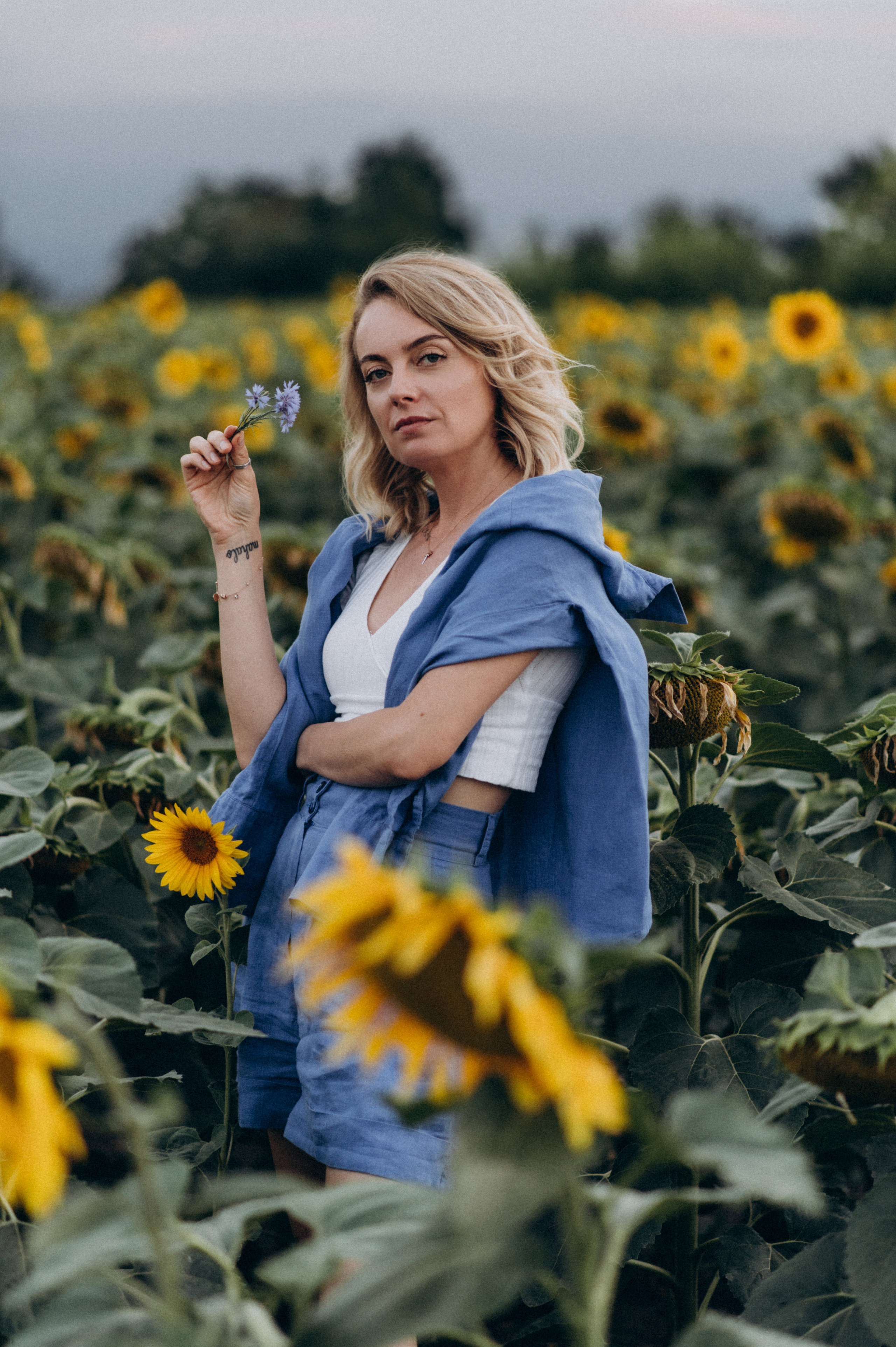 Фотосесія в пшениці та соняхах. Сімейний, дитячий та індивідуальний фотограф в м. Тернопіль, м. Львів