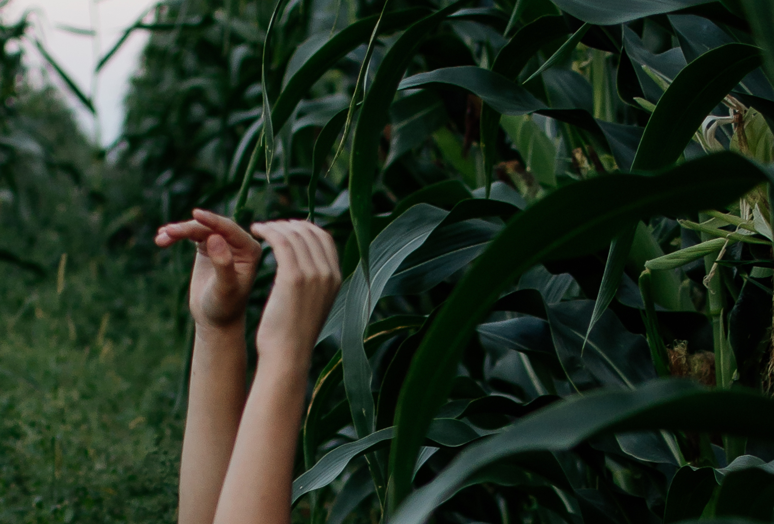 Індивідуальна фотосесія. Тернопіль. Сімейний, дитячий та індивідуальний фотограф в м. Тернопіль, м. Львів