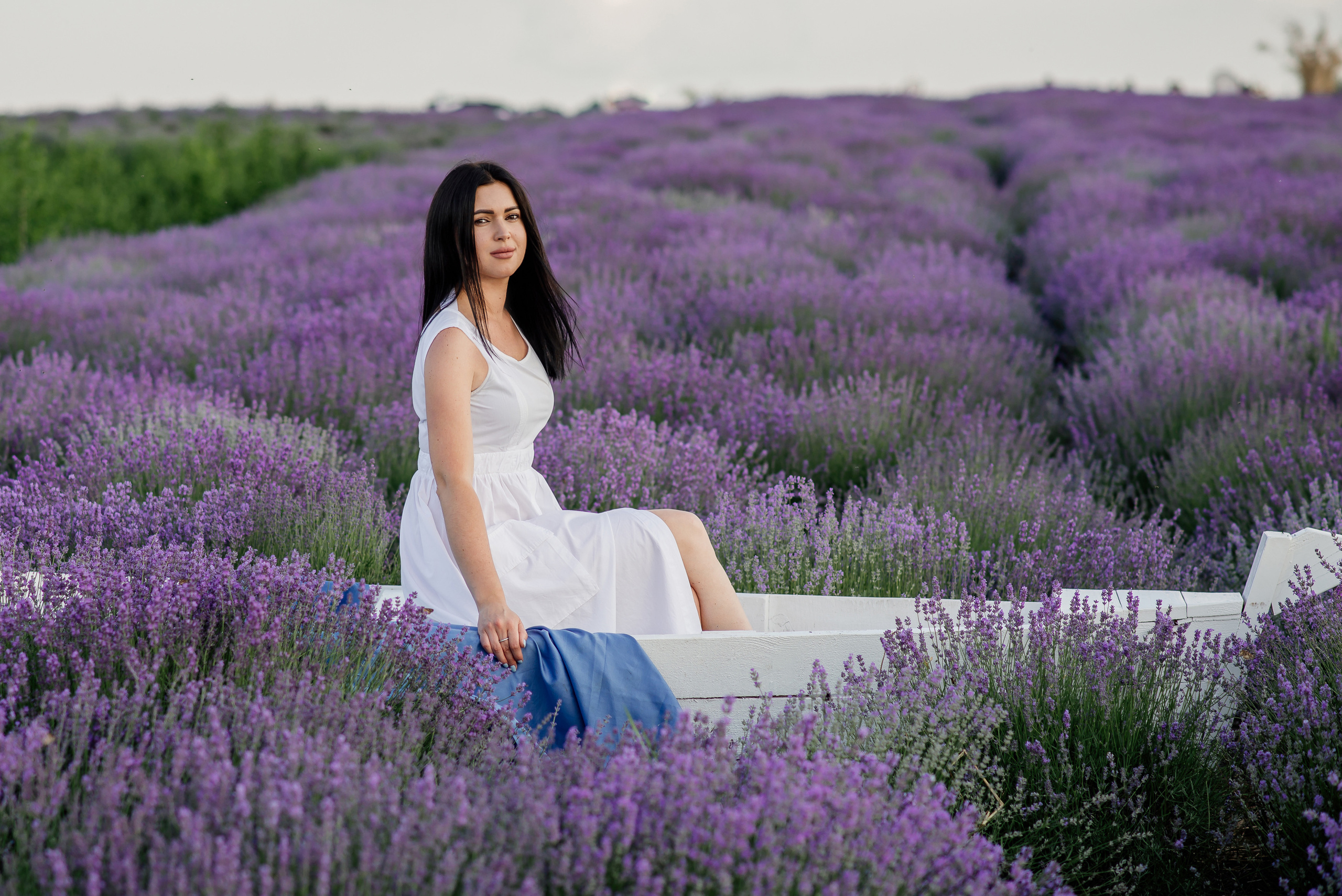 Фотосесія в лаванді. Лілія. Сімейний, дитячий та індивідуальний фотограф в м. Тернопіль, м. Львів