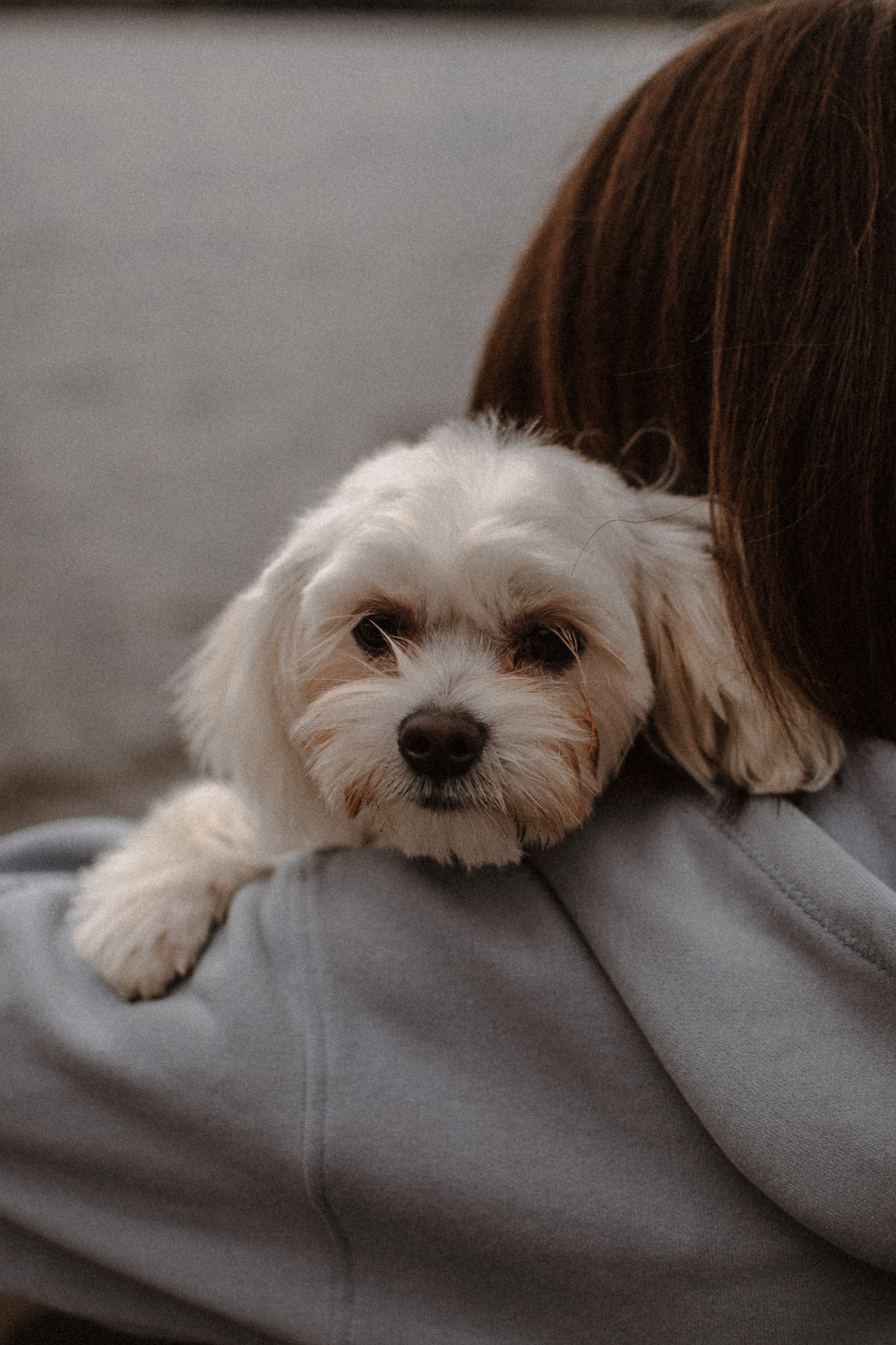 Yana. Сімейний, дитячий та індивідуальний фотограф в м. Тернопіль, м. Львів