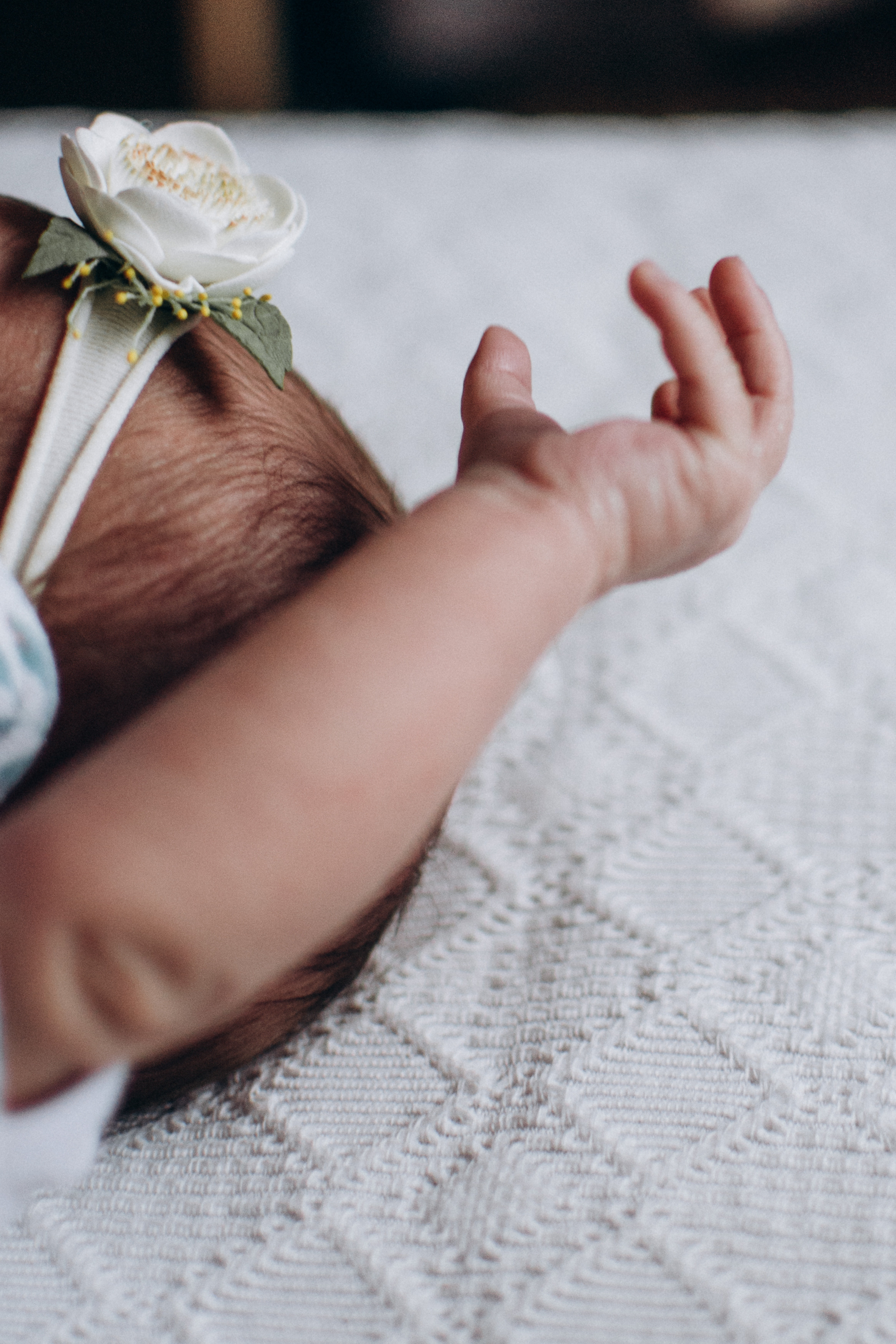 Фотосесія новонароджених Тернопіль, фотосесія newborn, фотосесія ньюборн Тернопіль, фотосесія немовлят, сімейний фотограф Тернопіль. Сімейний, дитячий та індивідуальний фотограф в м. Тернопіль, м. Львів
