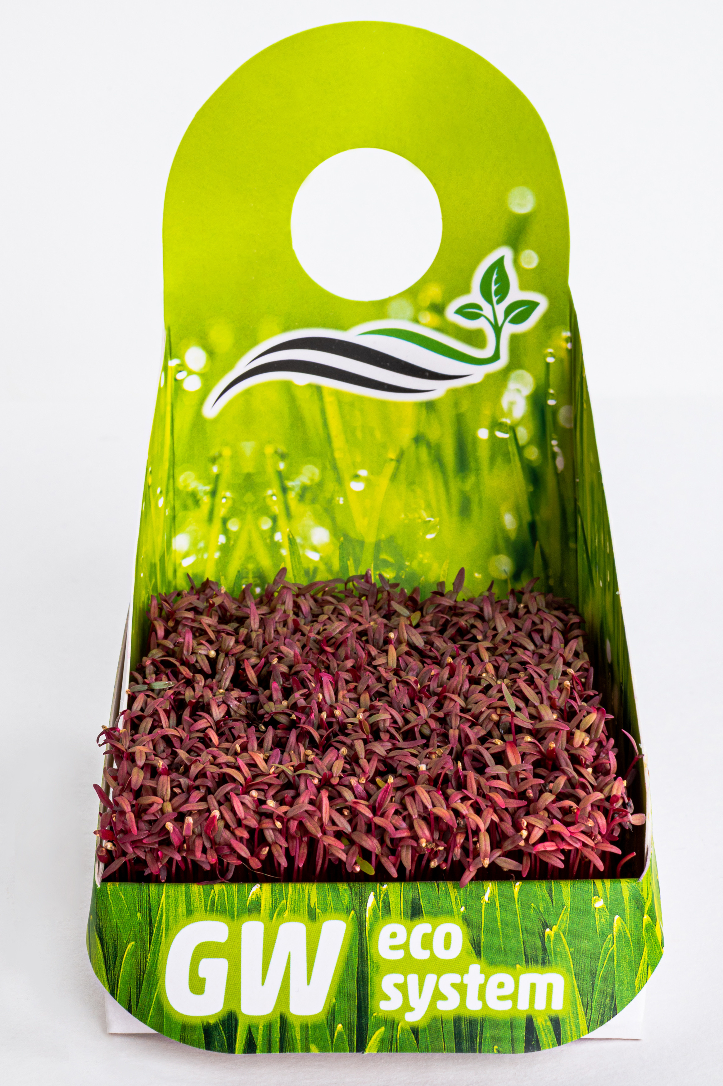 Предметні фото. Сімейний, дитячий та індивідуальний фотограф в м. Тернопіль, м. Львів