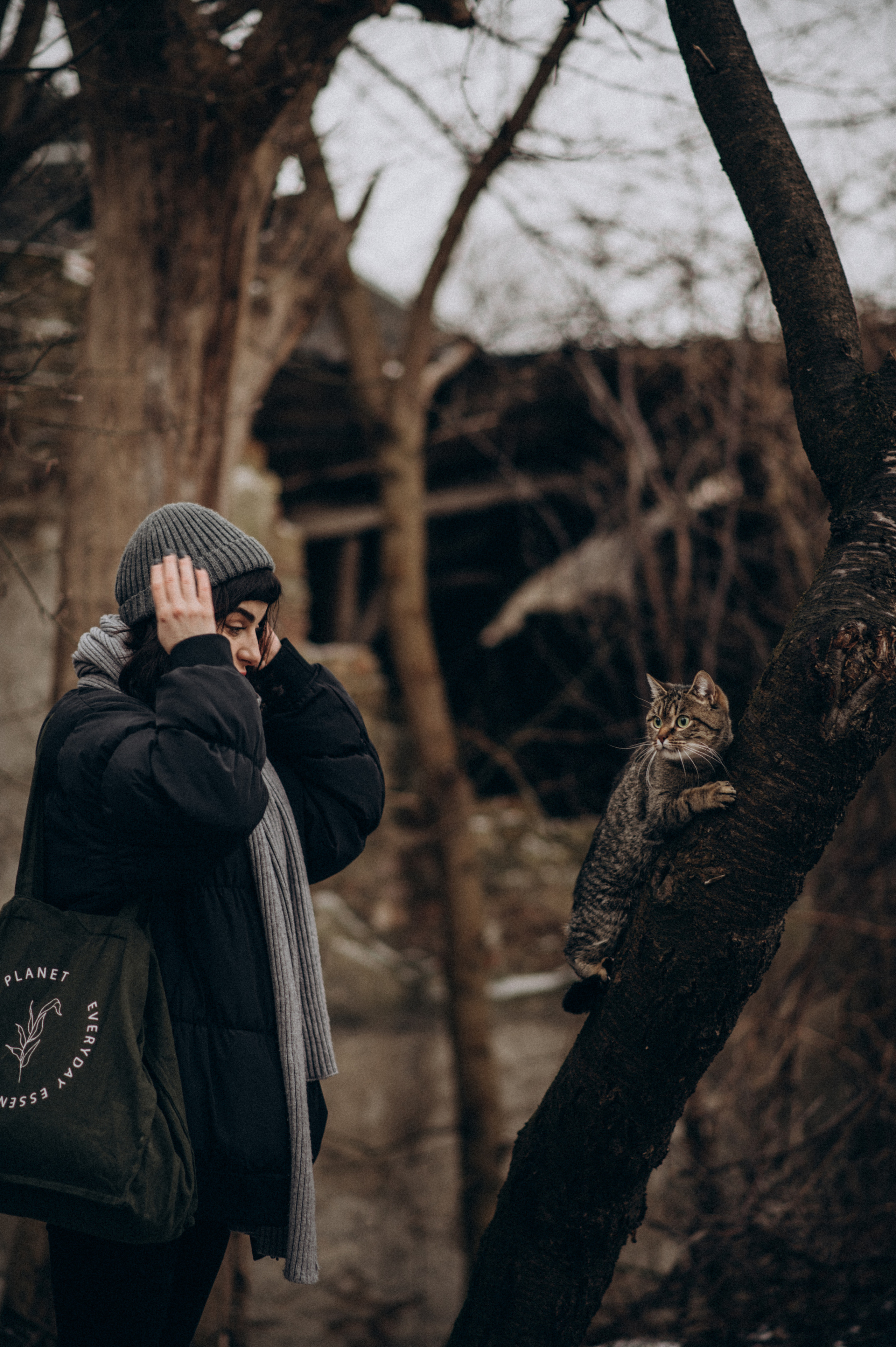 Фотосесія з котиком. Сімейний, дитячий та індивідуальний фотограф в м. Тернопіль, м. Львів