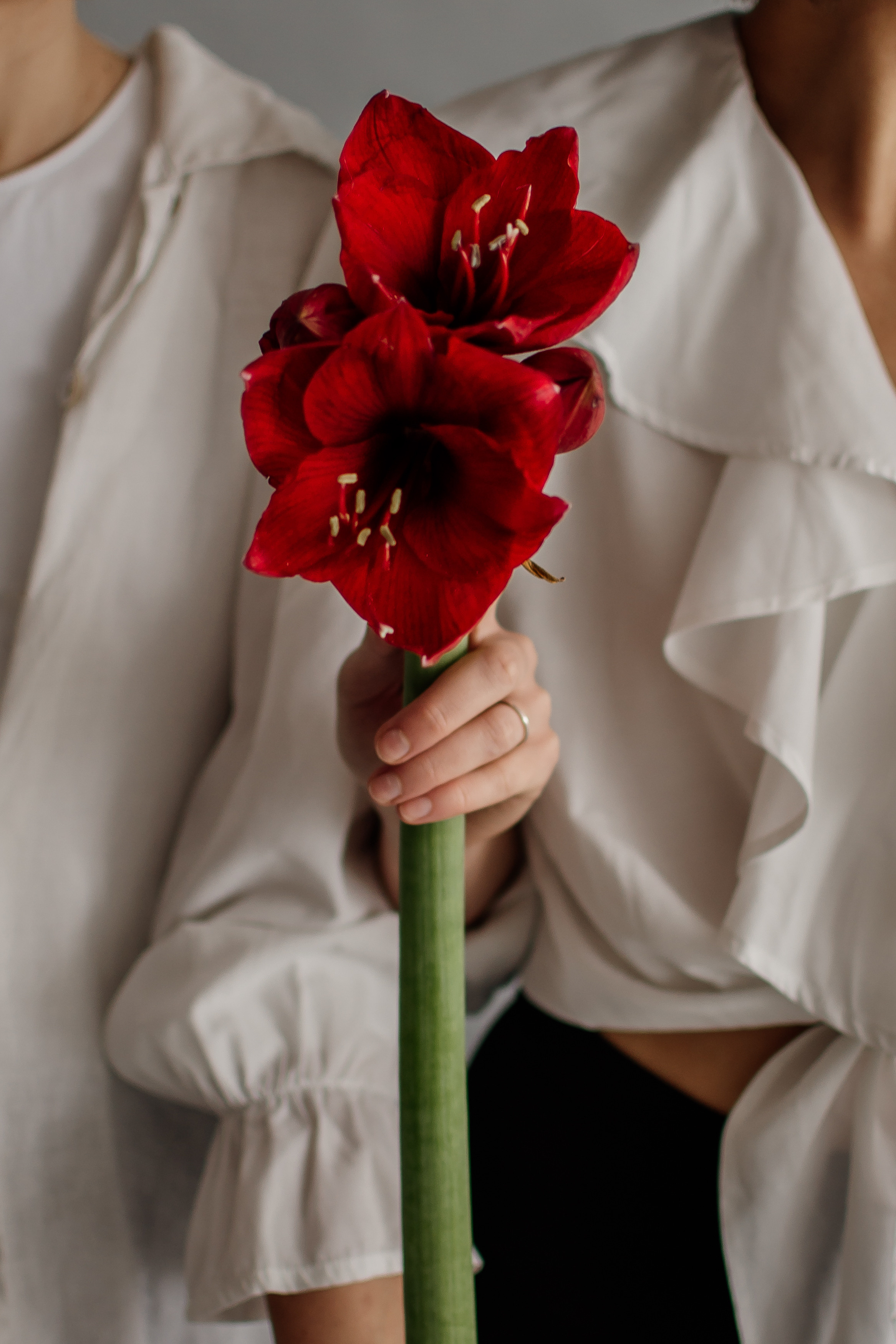 Фотоконтент для квіткової крамниці Sparkle. Тернопіль. Сімейний, дитячий та індивідуальний фотограф в м. Тернопіль, м. Львів