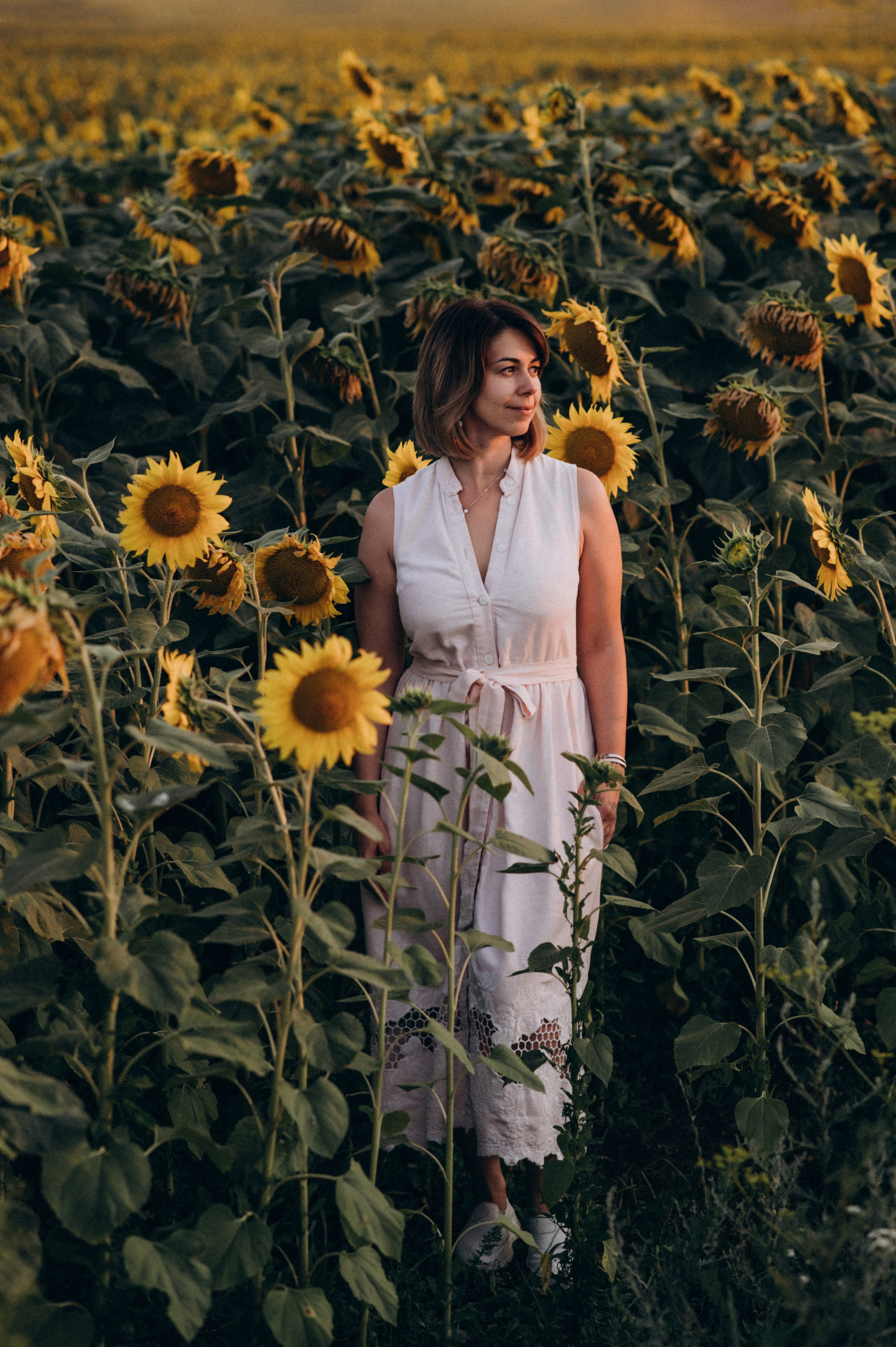 Сімейна фотосесія в лаванді, лав сторі, фотограф Тернопіль, фотосесія в соняхах. Сімейний, дитячий та індивідуальний фотограф в м. Тернопіль, м. Львів