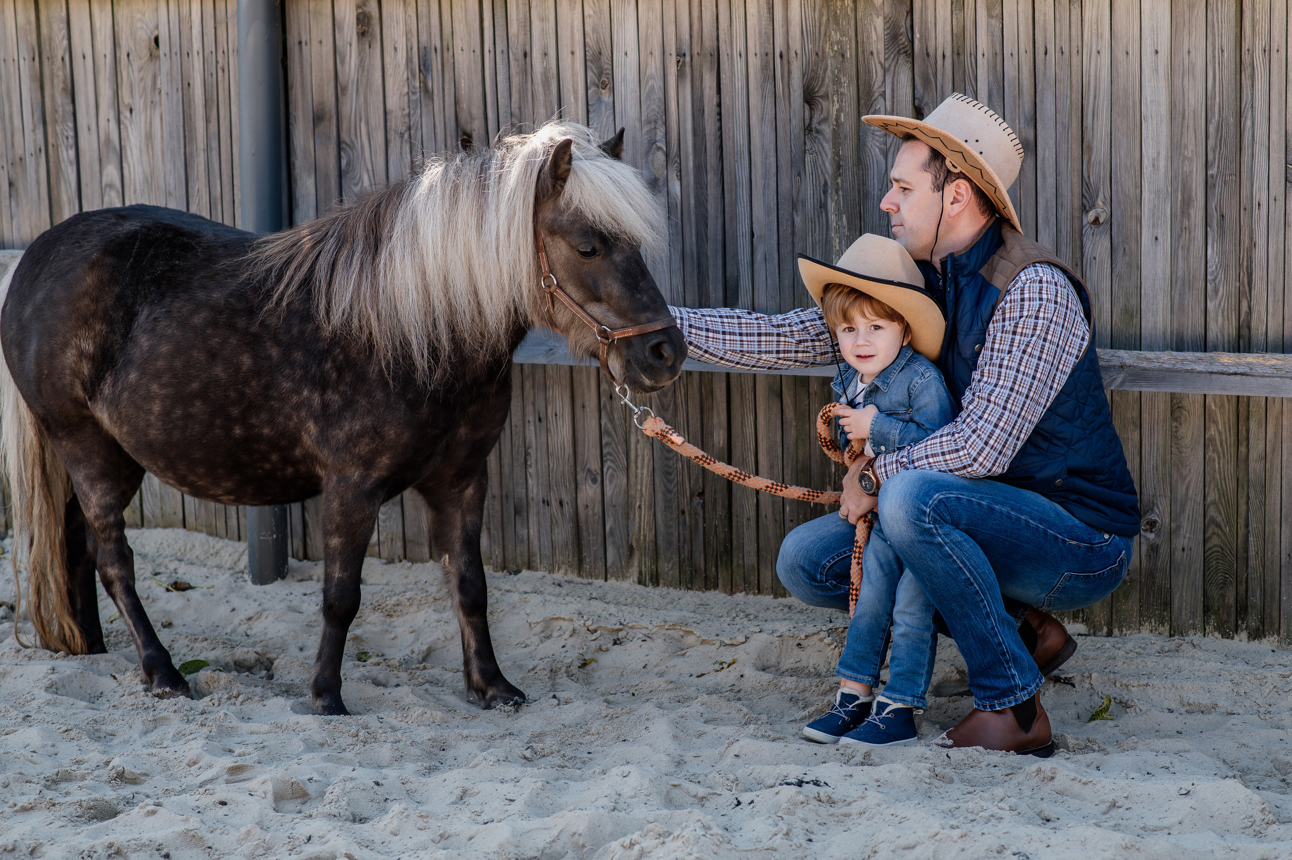 Сімейна фотосесія з кониками. Тернопіль. Сімейний, дитячий та індивідуальний фотограф в м. Тернопіль, м. Львів