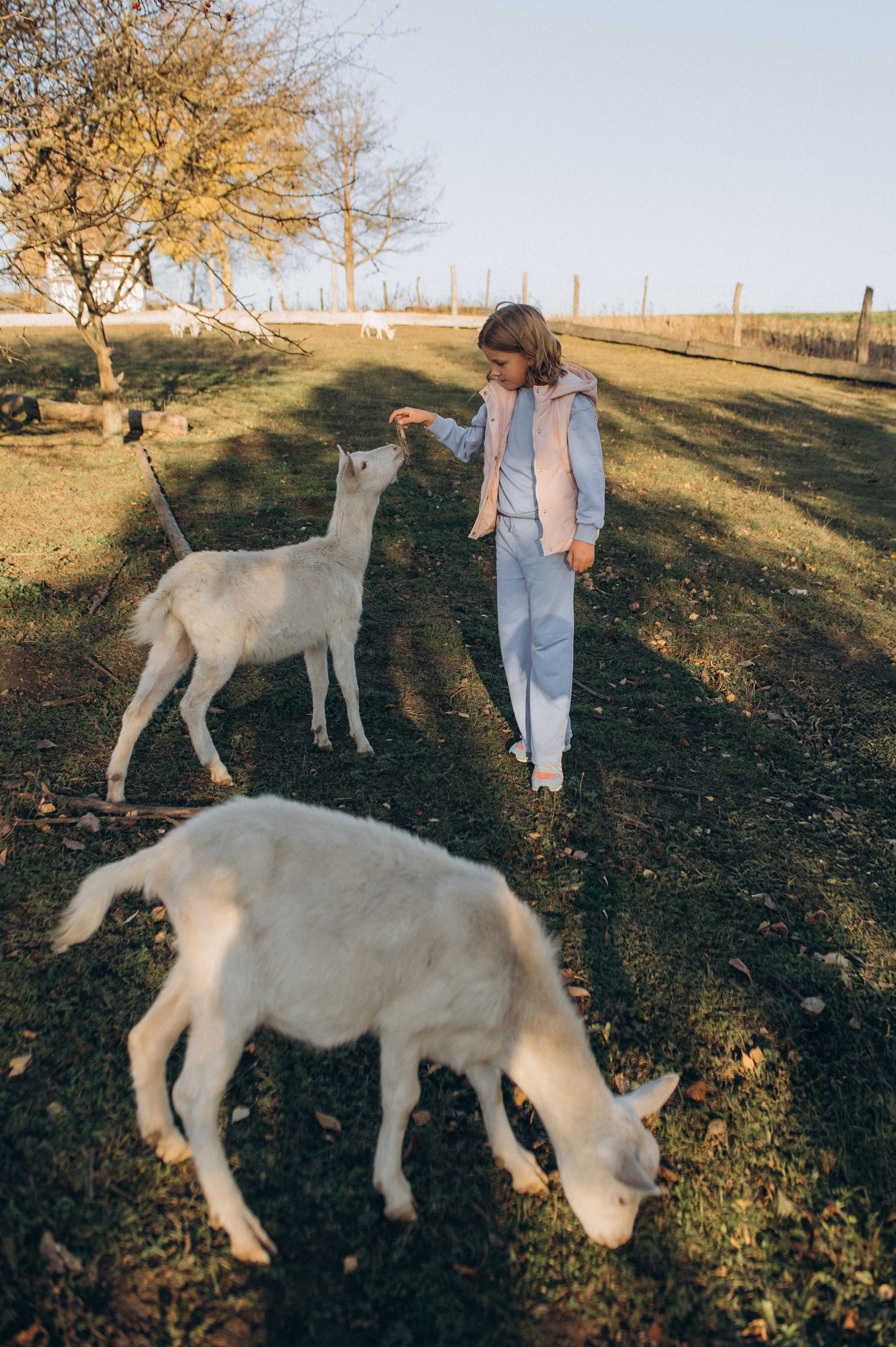 Дитячий фотограф Тернопіль, фотосесія дітей, фотосесія на природі, зйомка у Веселі козенята, фотосесія дня народження Тернопіль. Сімейний, дитячий та індивідуальний фотограф в м. Тернопіль, м. Львів