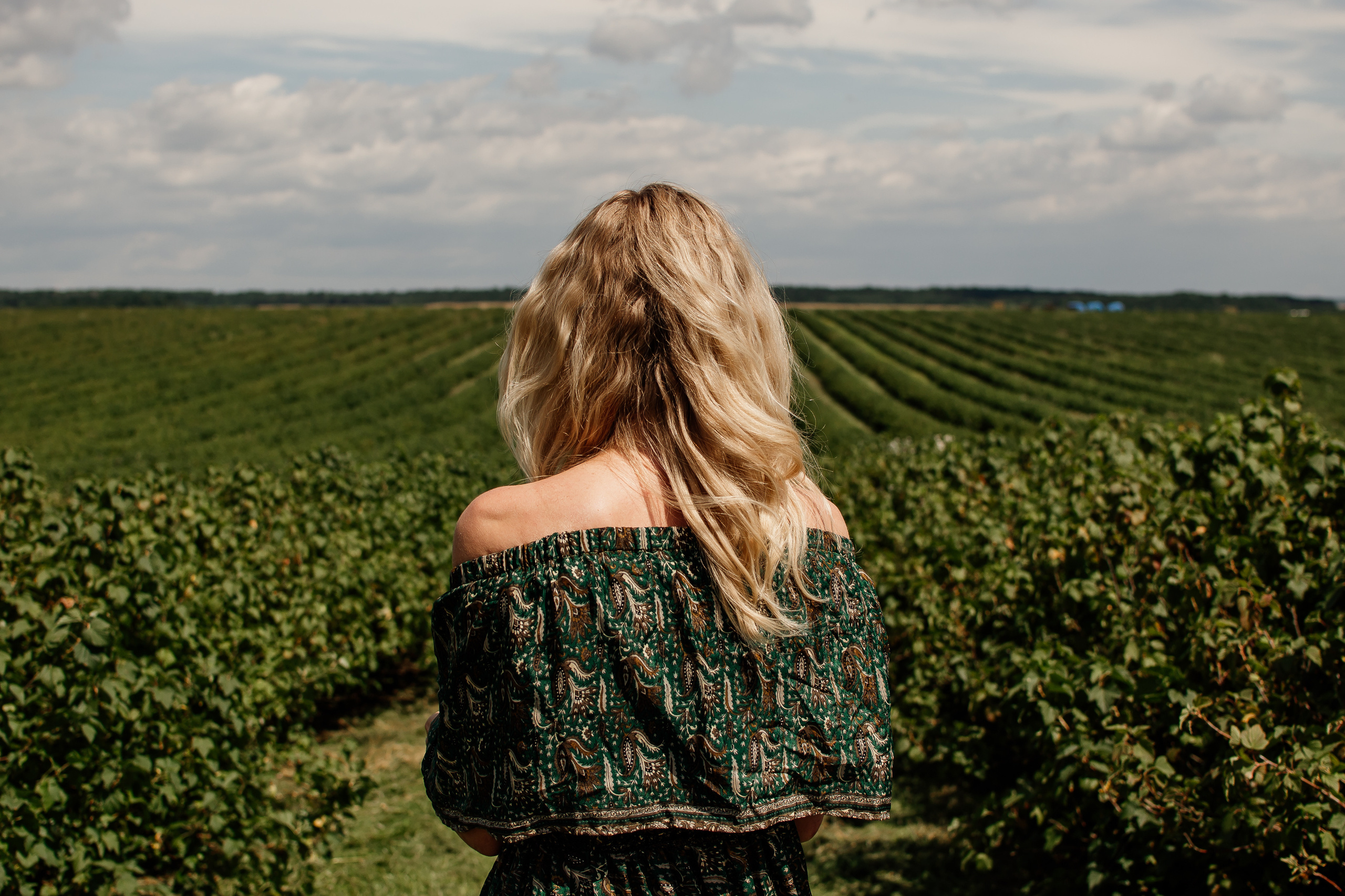 Фотосесія в пшениці. Тернопільська обл. Сімейний, дитячий та індивідуальний фотограф в м. Тернопіль, м. Львів