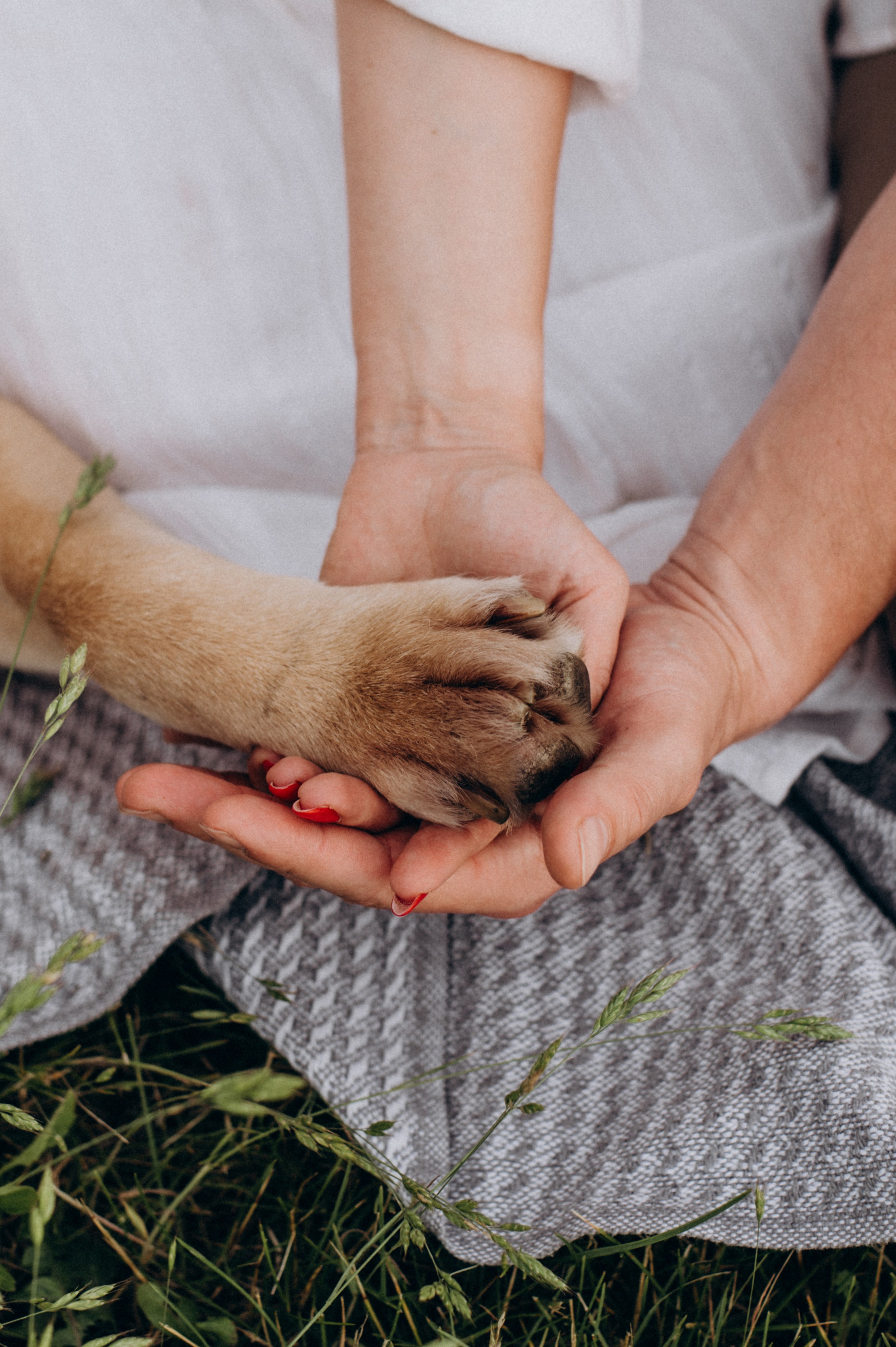 Сімейна фотосесія на природі, зйомка з собакою, фотосесія лавсторі Тернопіль. Сімейний, дитячий та індивідуальний фотограф в м. Тернопіль, м. Львів