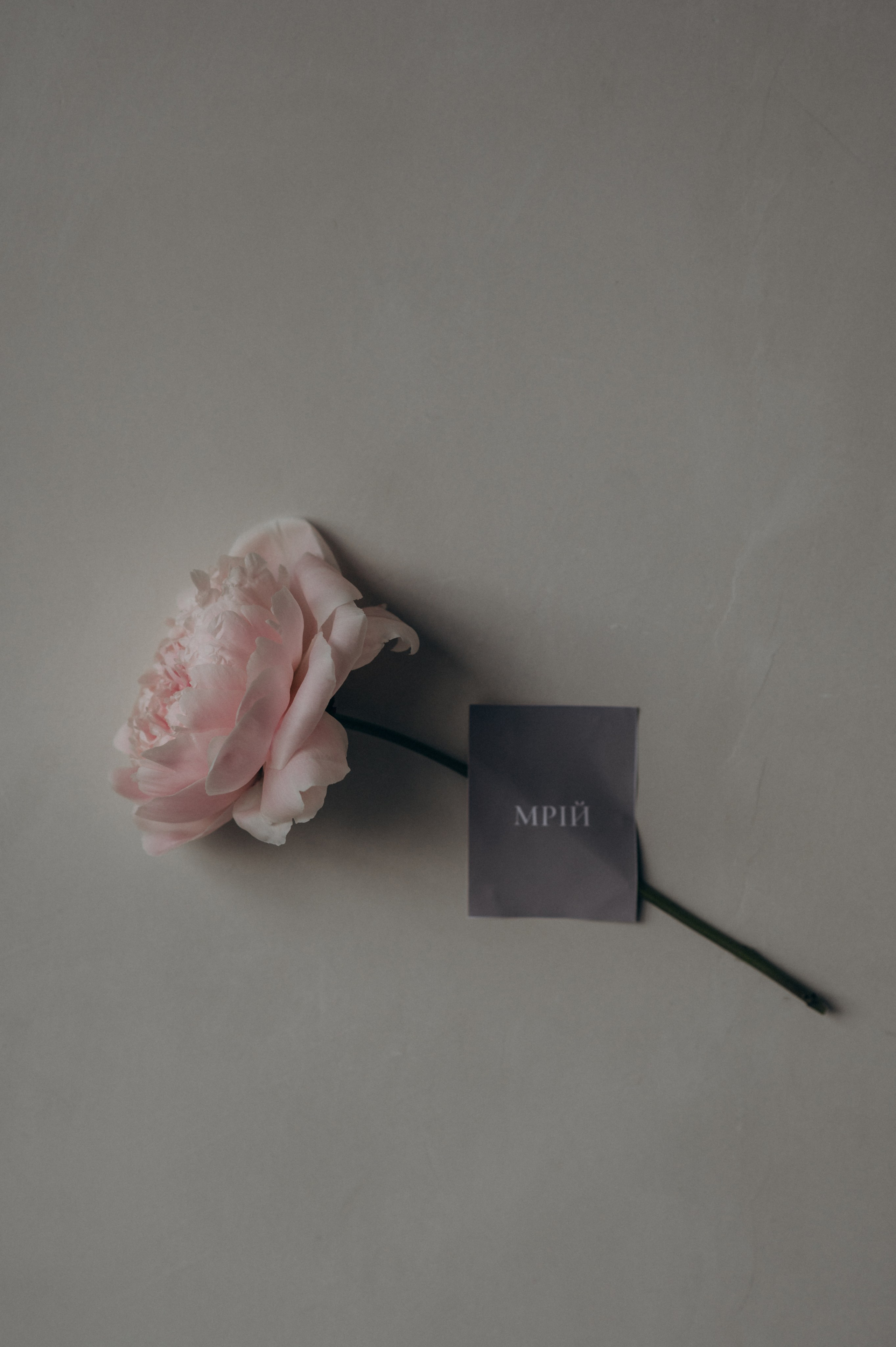 Індивідуальна фотосесія у студії Тернопіль, індивідуальна зйомка Львів. Сімейний, дитячий та індивідуальний фотограф в м. Тернопіль, м. Львів