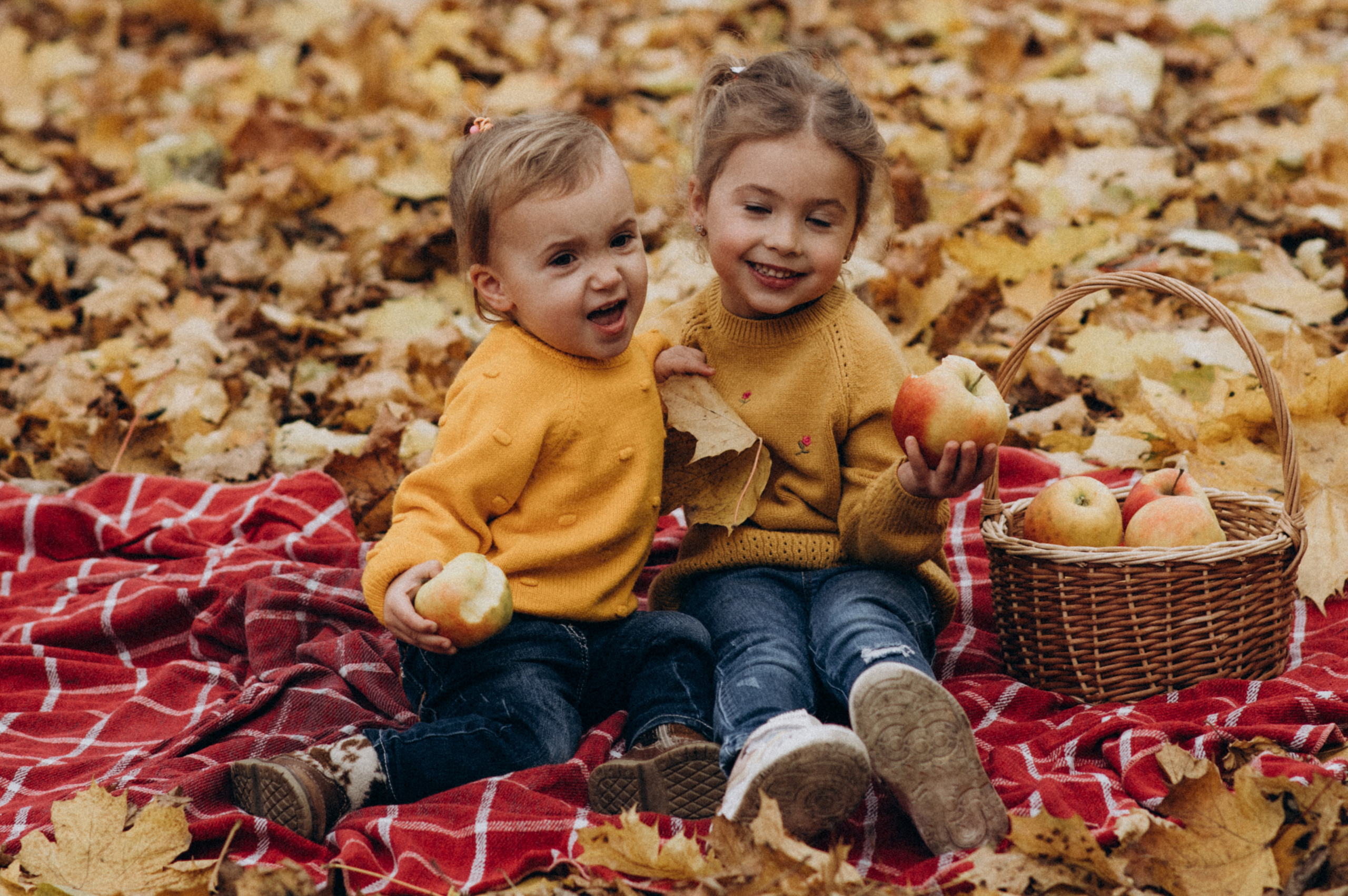 Осіння сімейна фотосесія. Сімейний, дитячий та індивідуальний фотограф в м. Тернопіль, м. Львів