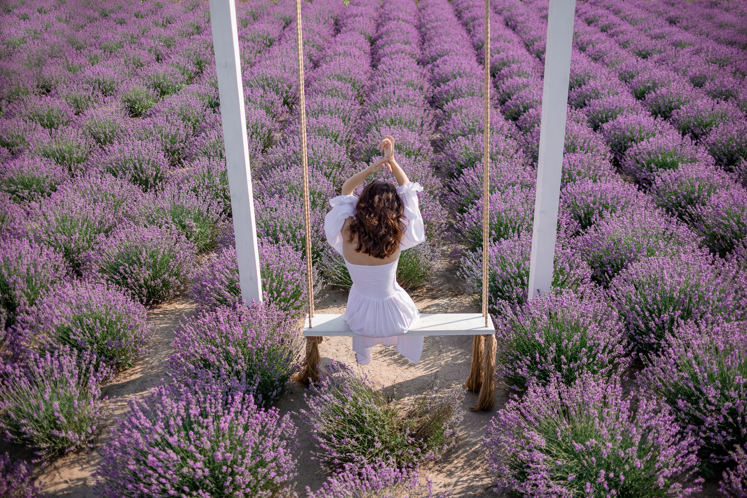 Сімейна фотосесія в лаванді. Андрій та Анастасія. Сімейний, дитячий та індивідуальний фотограф в м. Тернопіль, м. Львів