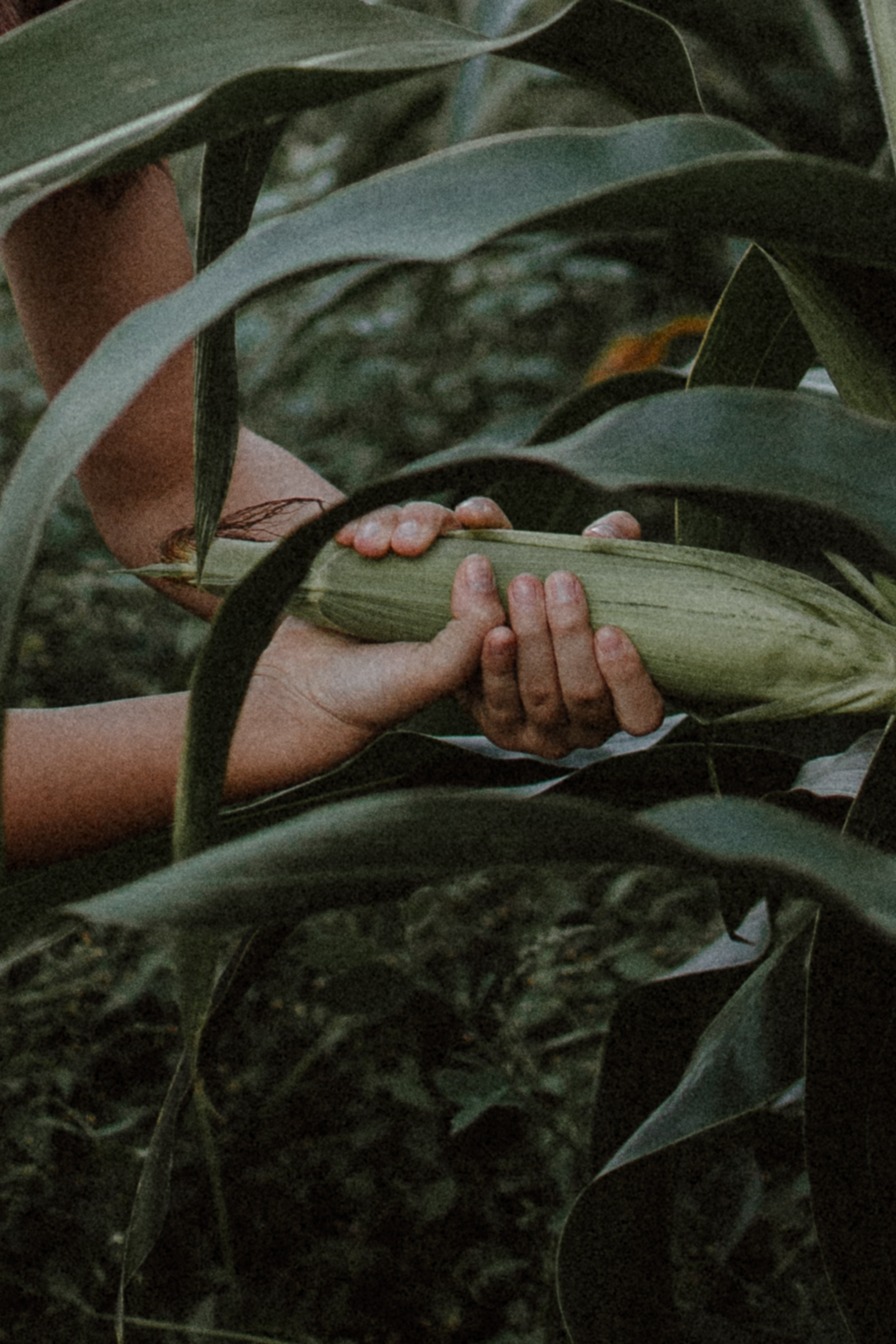 Індивідуальна фотосесія. Тернопіль. Сімейний, дитячий та індивідуальний фотограф в м. Тернопіль, м. Львів
