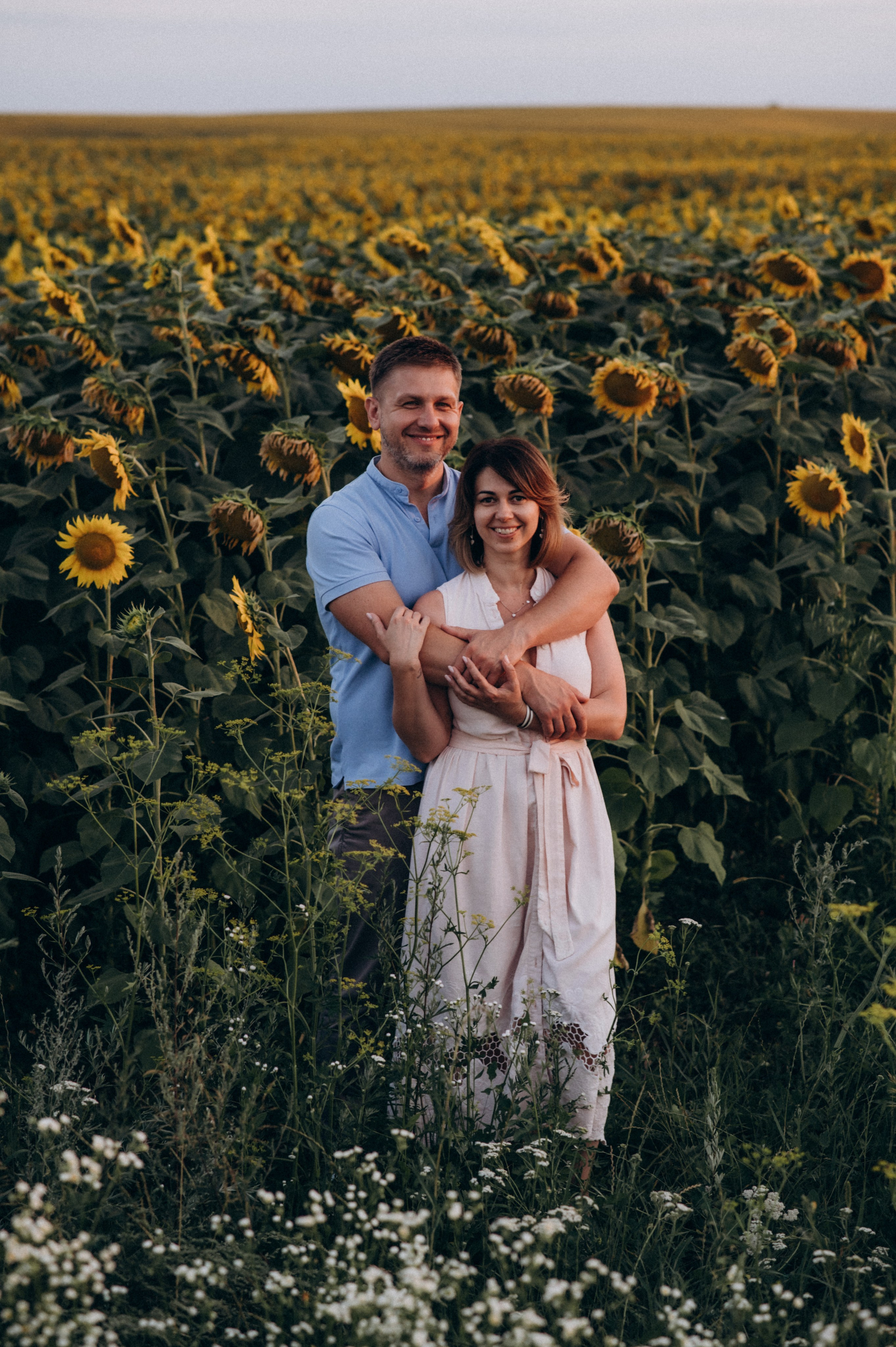 Сімейна фотосесія в лаванді, лав сторі, фотограф Тернопіль, фотосесія в соняхах. Сімейний, дитячий та індивідуальний фотограф в м. Тернопіль, м. Львів