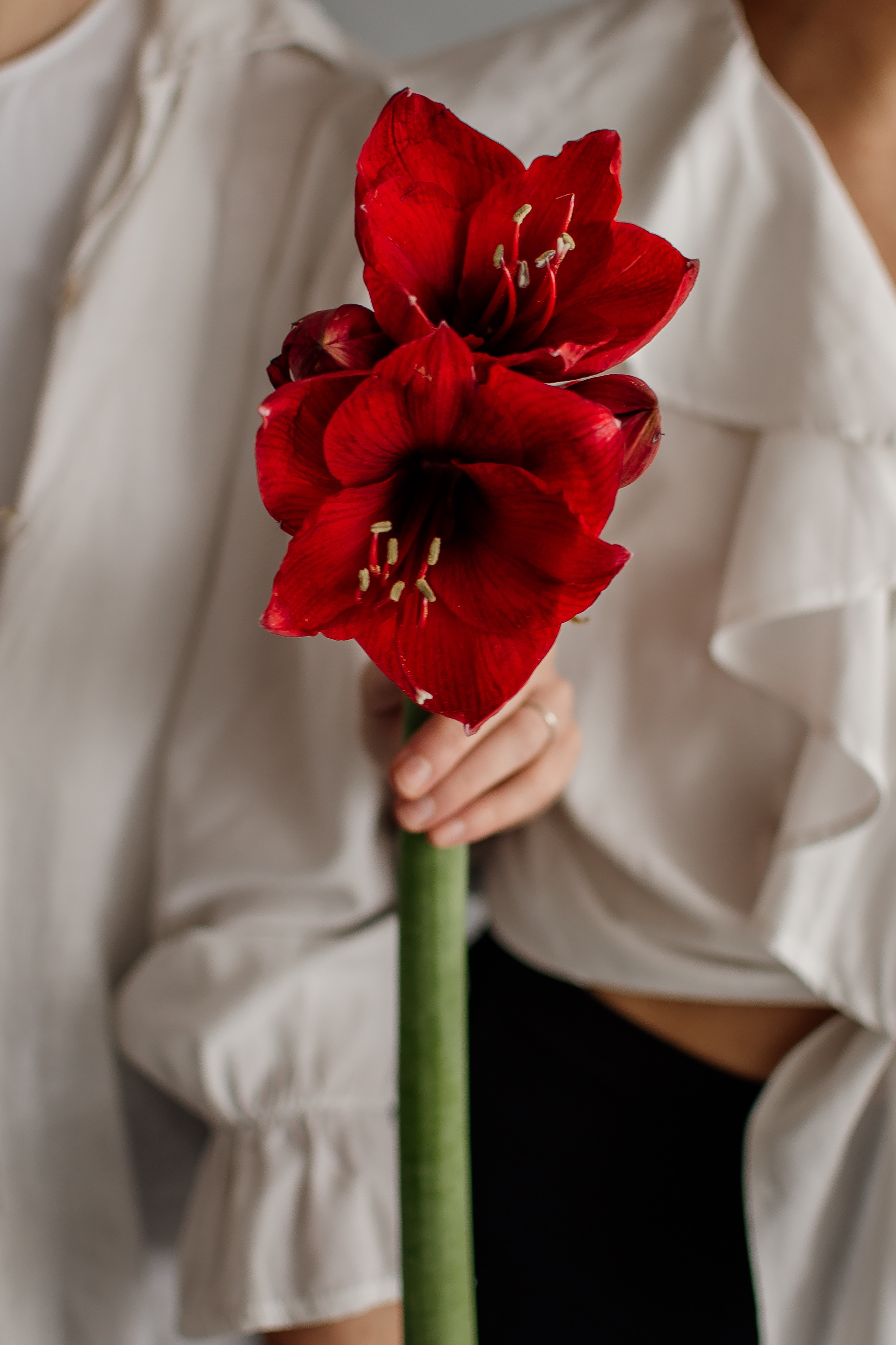 Фотоконтент для квіткової крамниці Sparkle. Тернопіль. Сімейний, дитячий та індивідуальний фотограф в м. Тернопіль, м. Львів