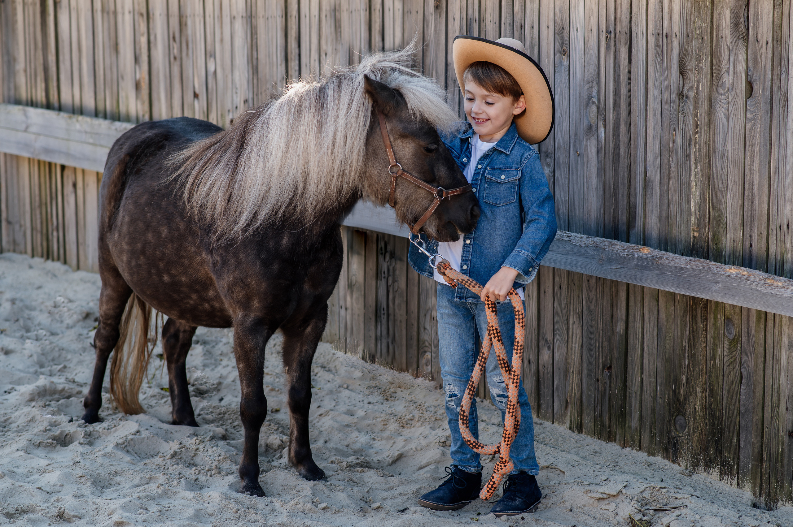 Сімейна фотосесія з кониками. Тернопіль. Сімейний, дитячий та індивідуальний фотограф в м. Тернопіль, м. Львів