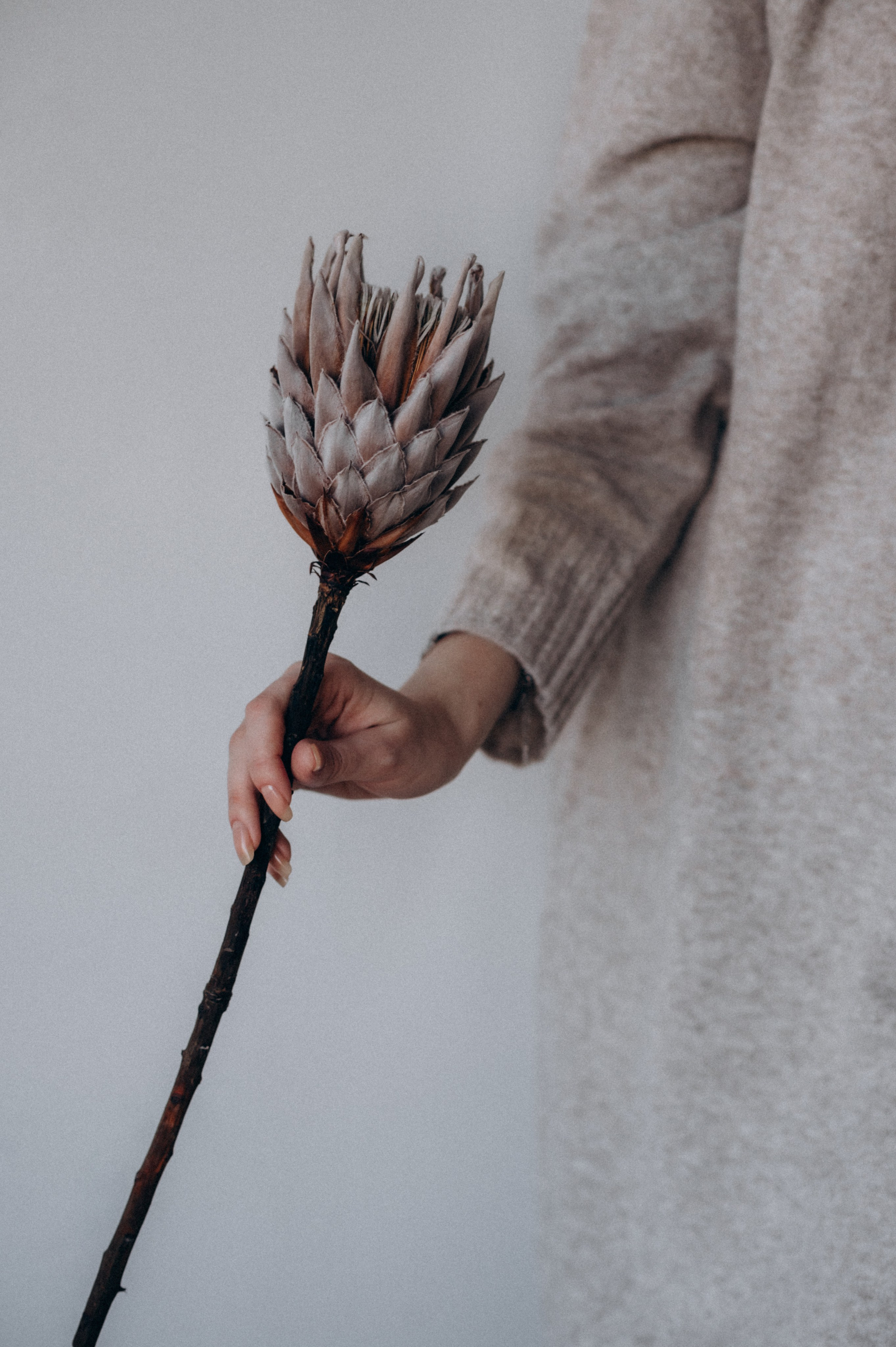 Індивідуальна фотосесія, контент-зйомка, фотосесія для експерта Тернопіль Львів. Сімейний, дитячий та індивідуальний фотограф в м. Тернопіль, м. Львів