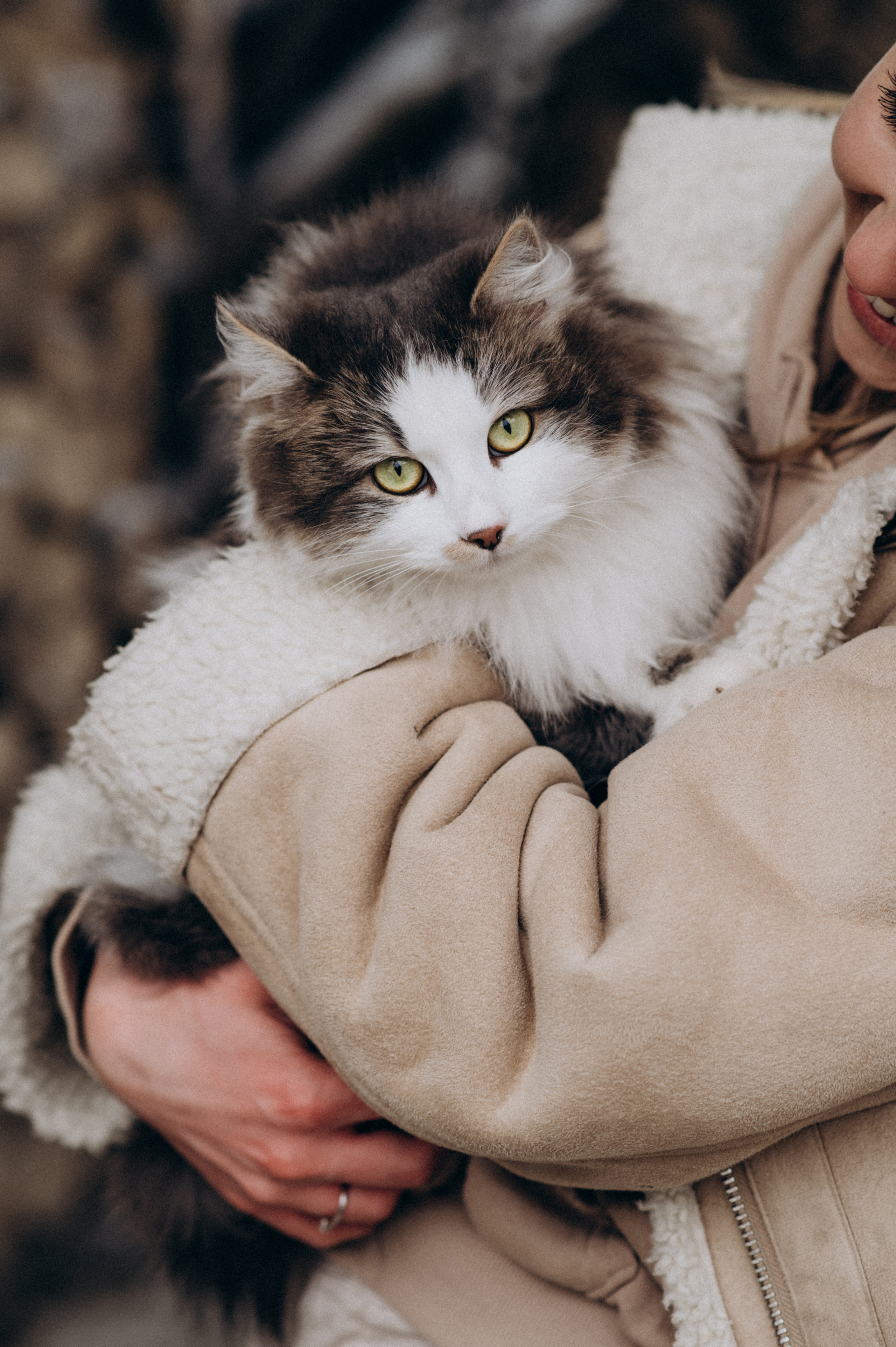 Зйомка з собакою Oleksandra & Volt. Сімейний, дитячий та індивідуальний фотограф в м. Тернопіль, м. Львів