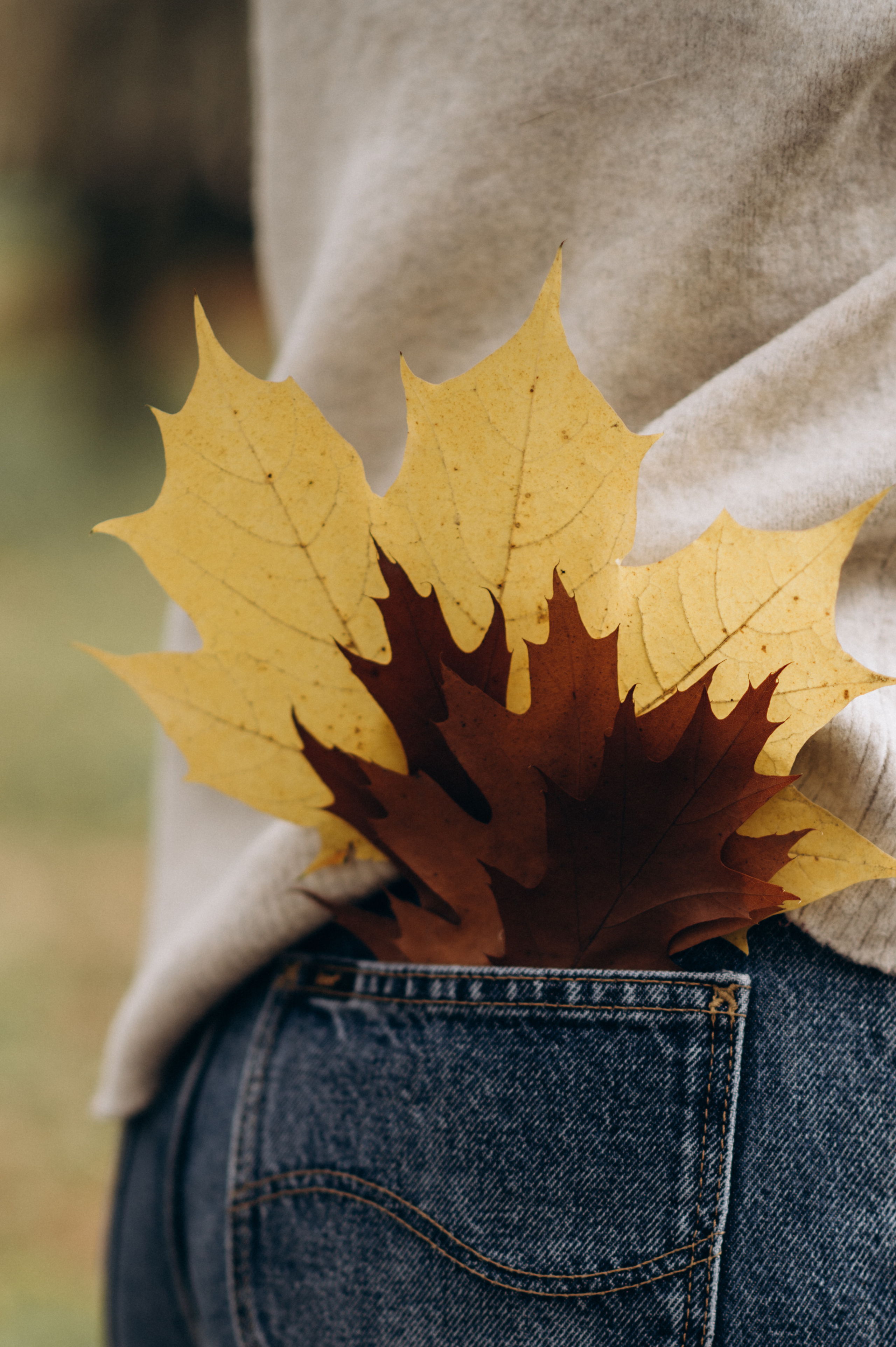 Контент зйомка для таргетолога. Сімейний, дитячий та індивідуальний фотограф в м. Тернопіль, м. Львів