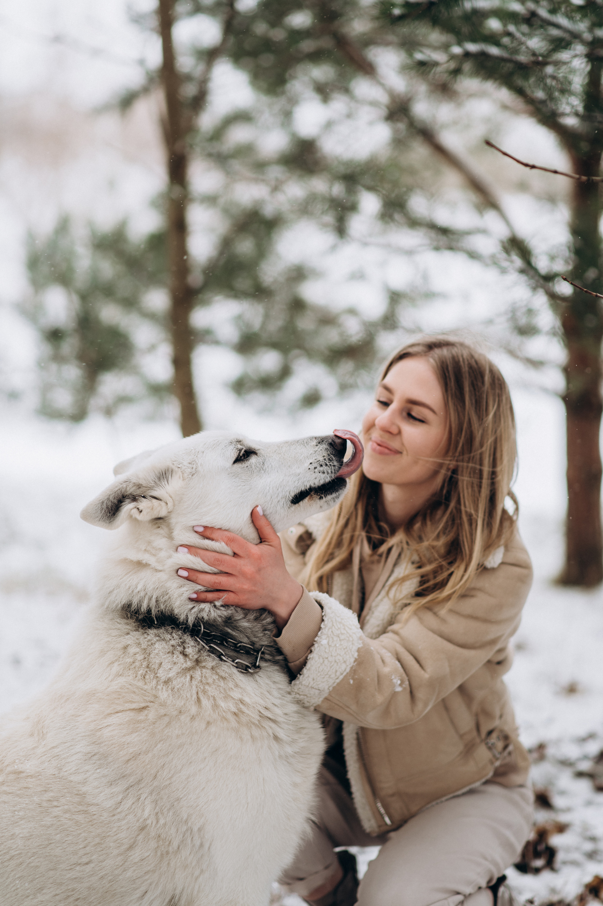 Зйомка з собакою Oleksandra & Volt. Сімейний, дитячий та індивідуальний фотограф в м. Тернопіль, м. Львів