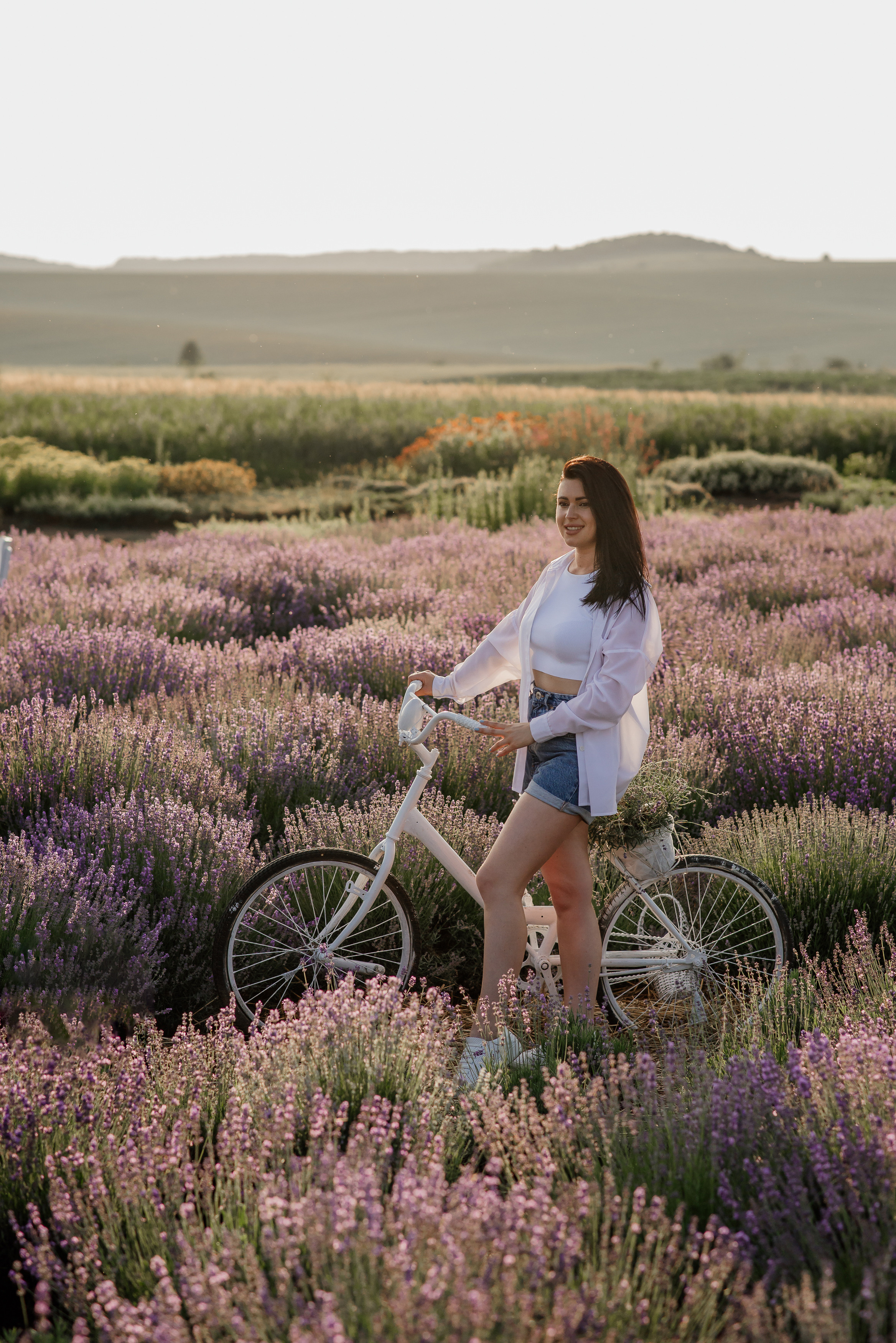 Фотосесія в лаванді. Лілія. Сімейний, дитячий та індивідуальний фотограф в м. Тернопіль, м. Львів
