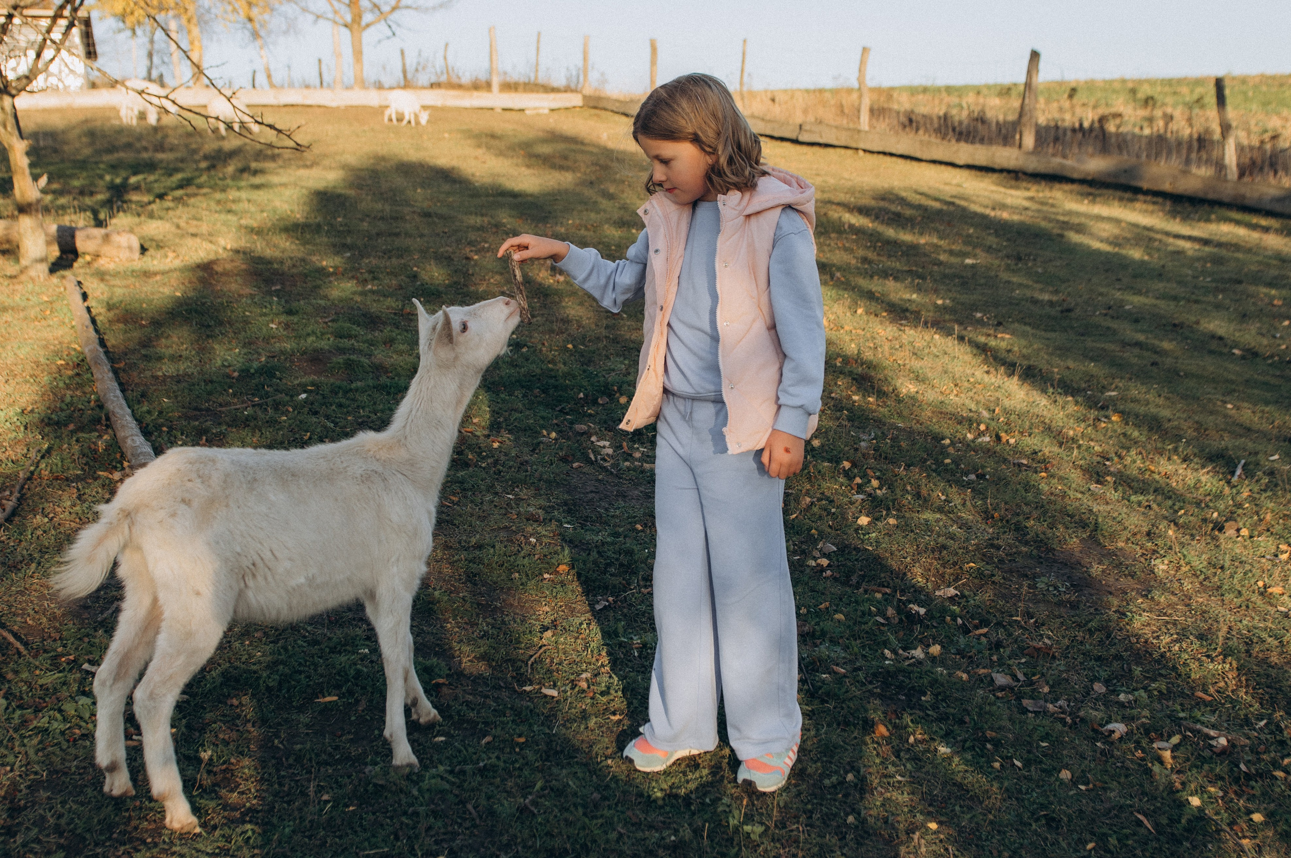 Дитячий фотограф Тернопіль, фотосесія дітей, фотосесія на природі, зйомка у Веселі козенята, фотосесія дня народження Тернопіль. Сімейний, дитячий та індивідуальний фотограф в м. Тернопіль, м. Львів