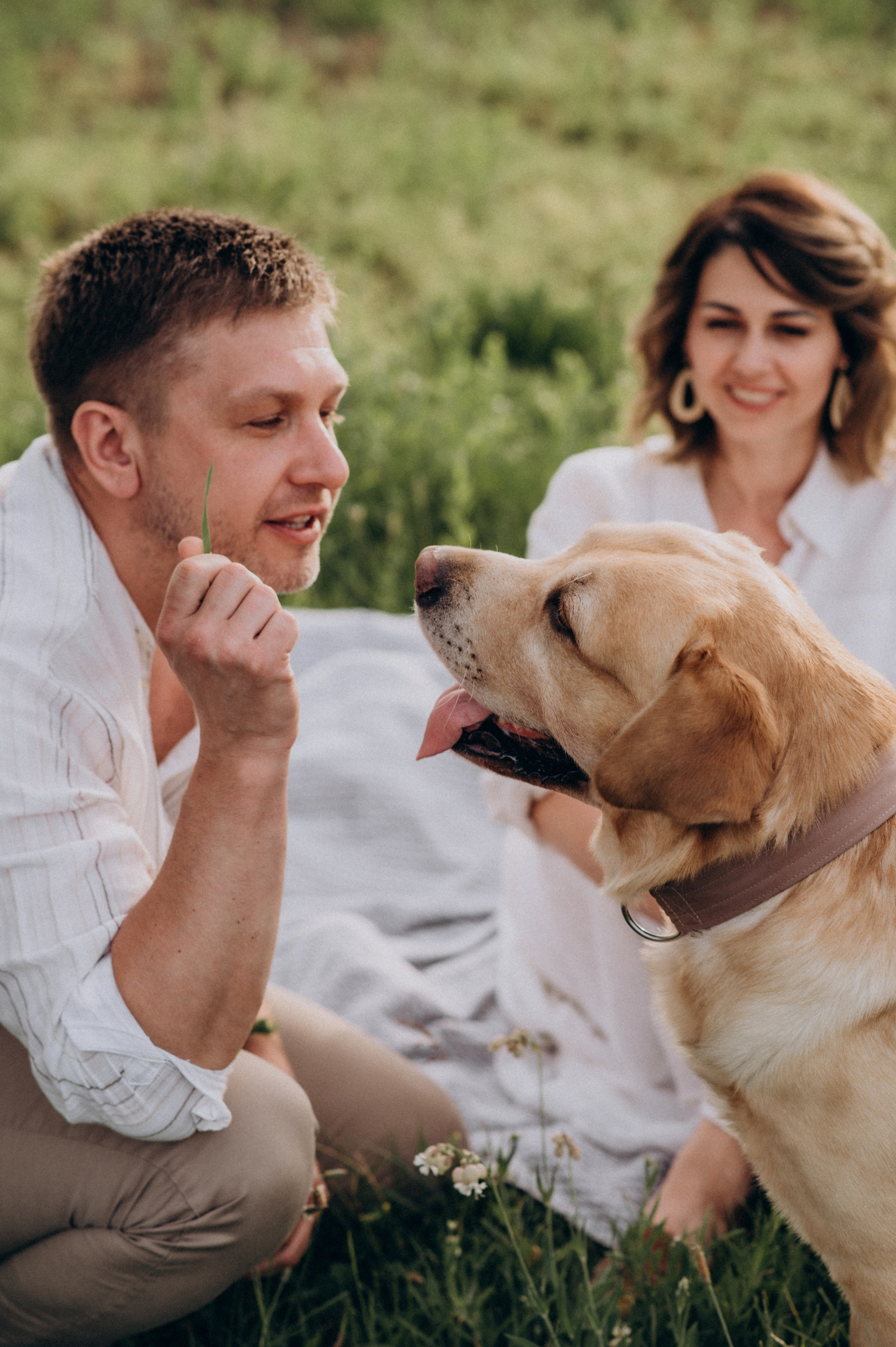 Сімейна фотосесія на природі, зйомка з собакою, фотосесія лавсторі Тернопіль. Сімейний, дитячий та індивідуальний фотограф в м. Тернопіль, м. Львів