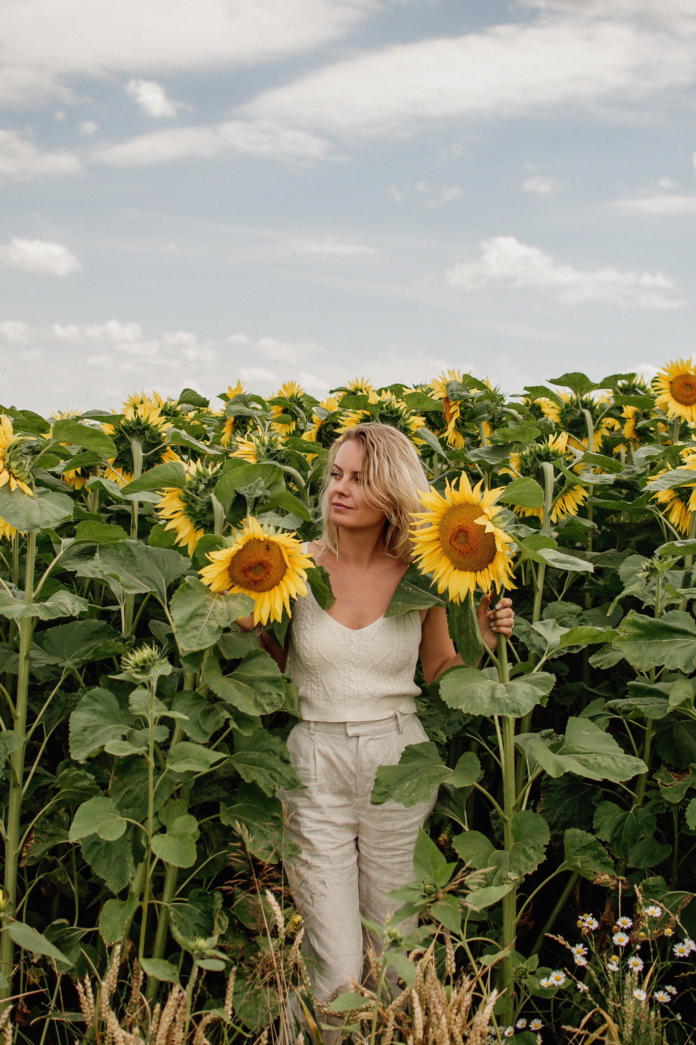 Фотосесія в пшениці. Тернопільська обл. Сімейний, дитячий та індивідуальний фотограф в м. Тернопіль, м. Львів