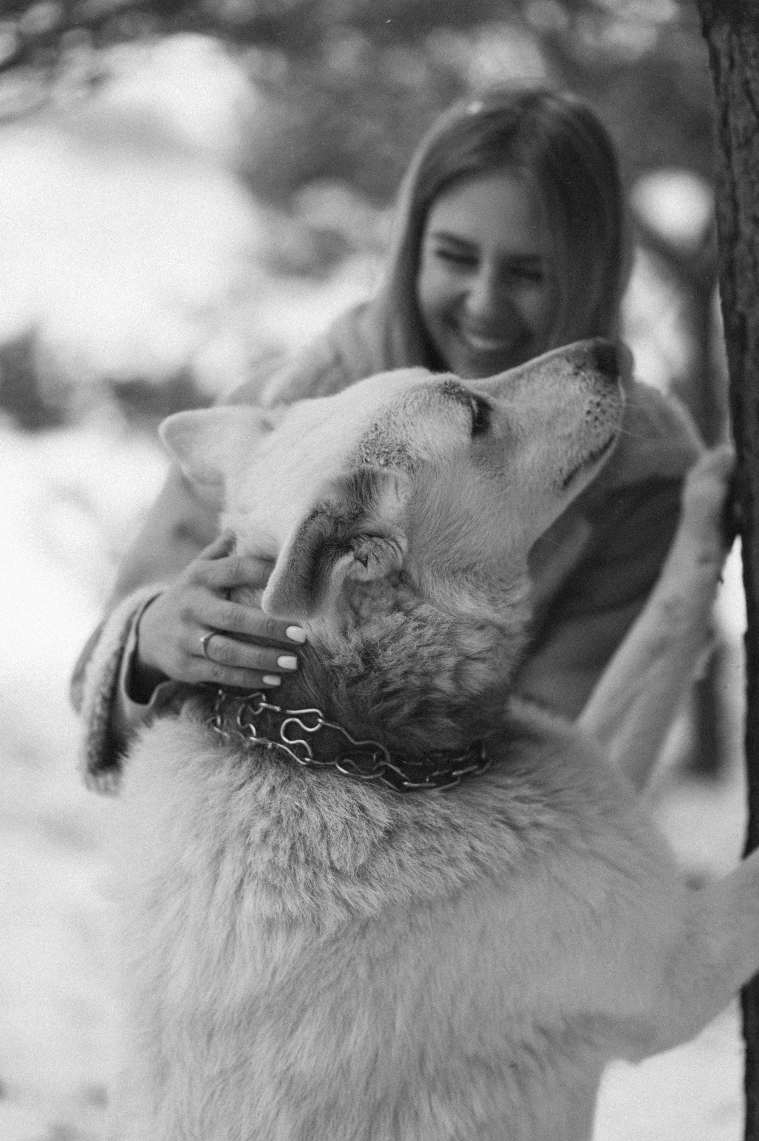 Зйомка з собакою Oleksandra & Volt. Сімейний, дитячий та індивідуальний фотограф в м. Тернопіль, м. Львів