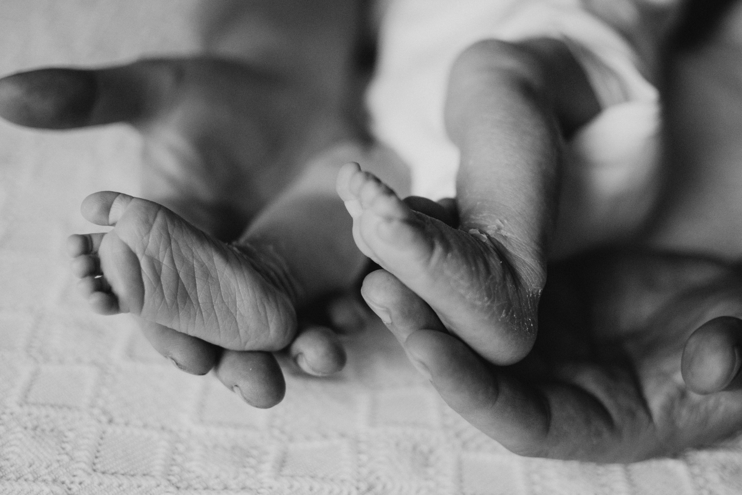 Фотосесія новонароджених Тернопіль, фотосесія newborn, фотосесія ньюборн Тернопіль, фотосесія немовлят, сімейний фотограф Тернопіль. Сімейний, дитячий та індивідуальний фотограф в м. Тернопіль, м. Львів