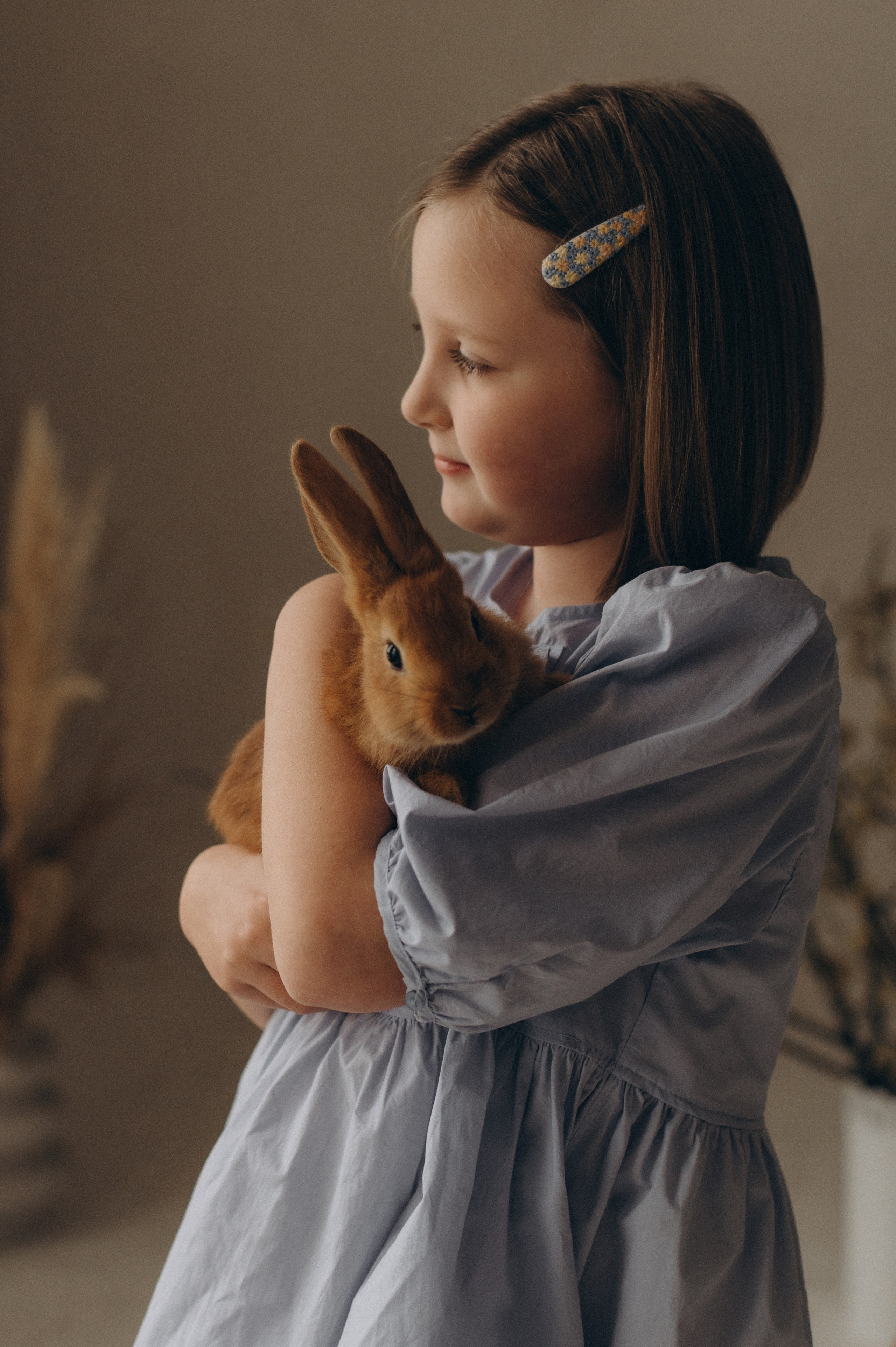 Фотосесія з кроликами, сімейний фотограф Тернопіль, дитячий фотограф Тернопіль, зйомка з кроликами Тернопіль. Сімейний, дитячий та індивідуальний фотограф в м. Тернопіль, м. Львів