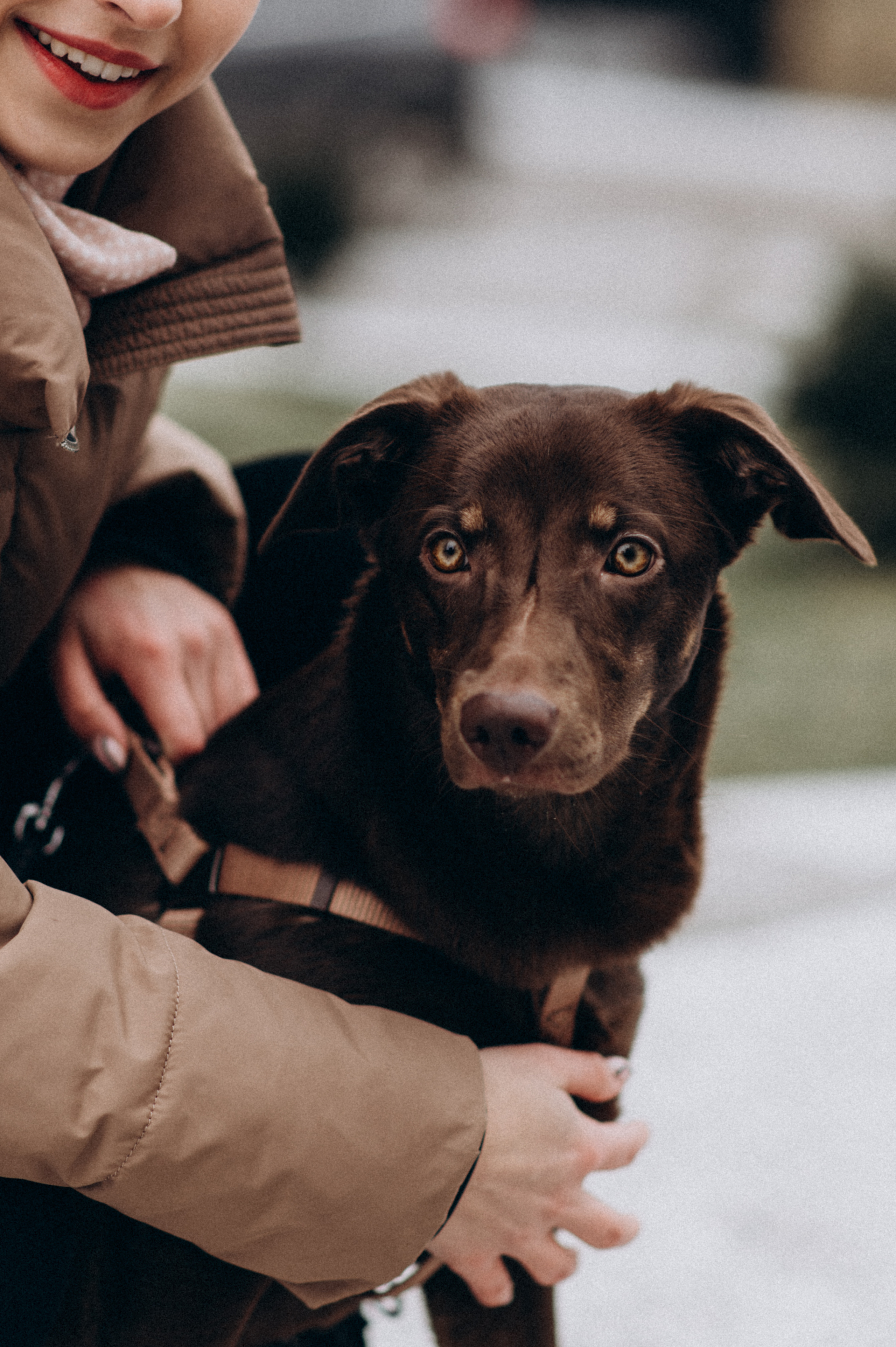 Зйомка з домашнім улюбленцем. Сімейний, дитячий та індивідуальний фотограф в м. Тернопіль, м. Львів