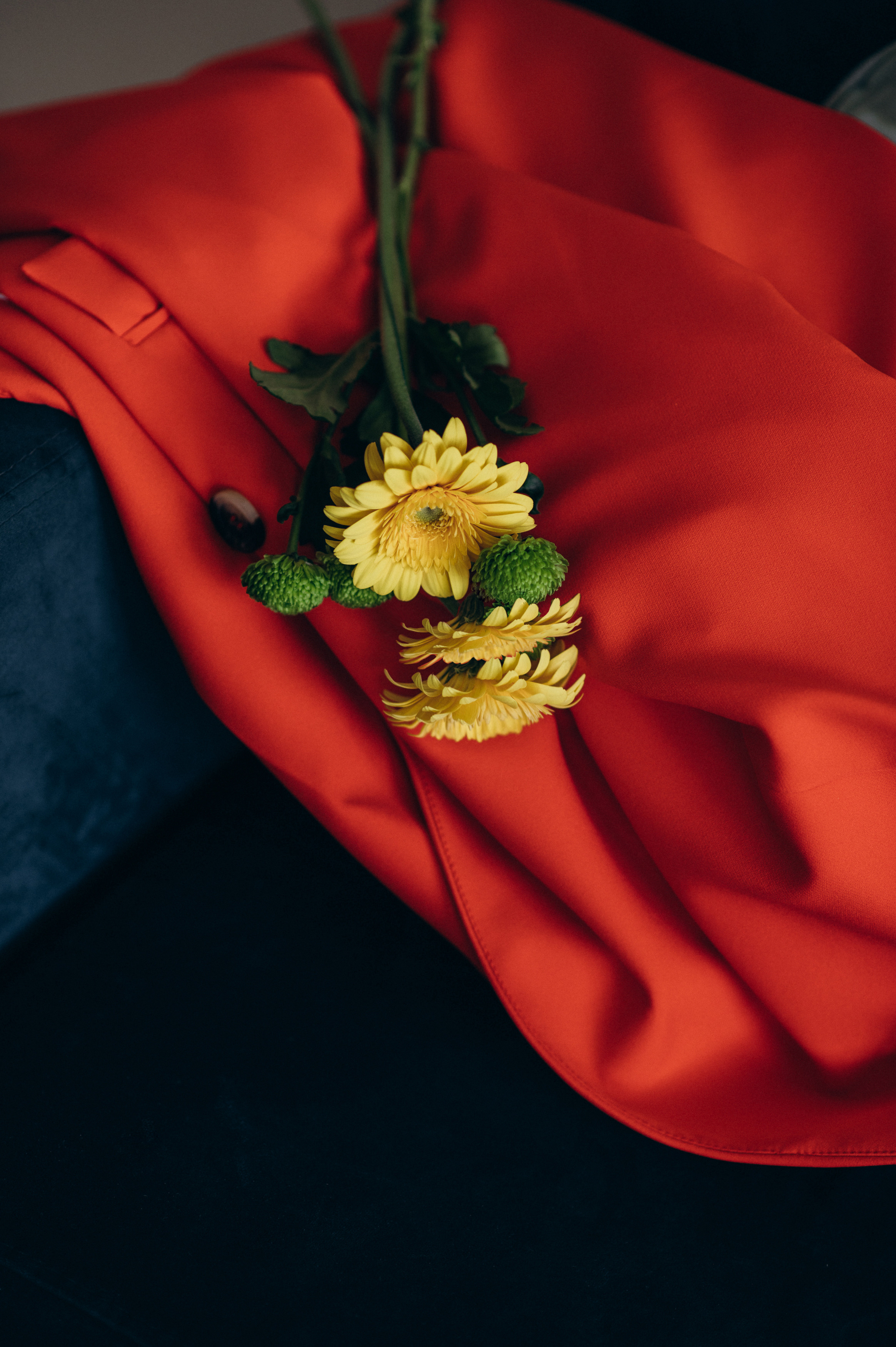 Індивідуальна фотосесія у студіі. Сімейний, дитячий та індивідуальний фотограф в м. Тернопіль, м. Львів