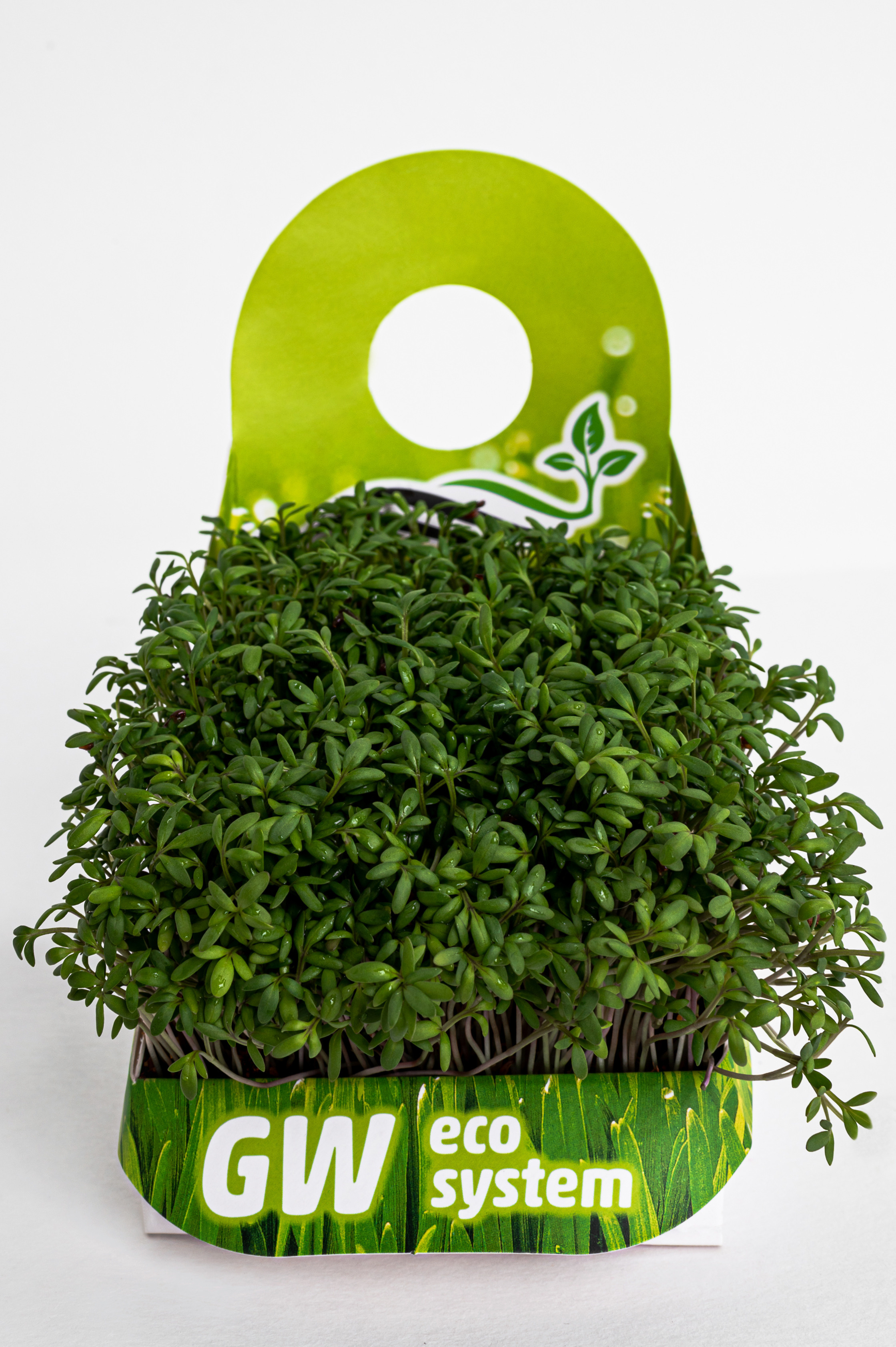 Предметні фото. Сімейний, дитячий та індивідуальний фотограф в м. Тернопіль, м. Львів