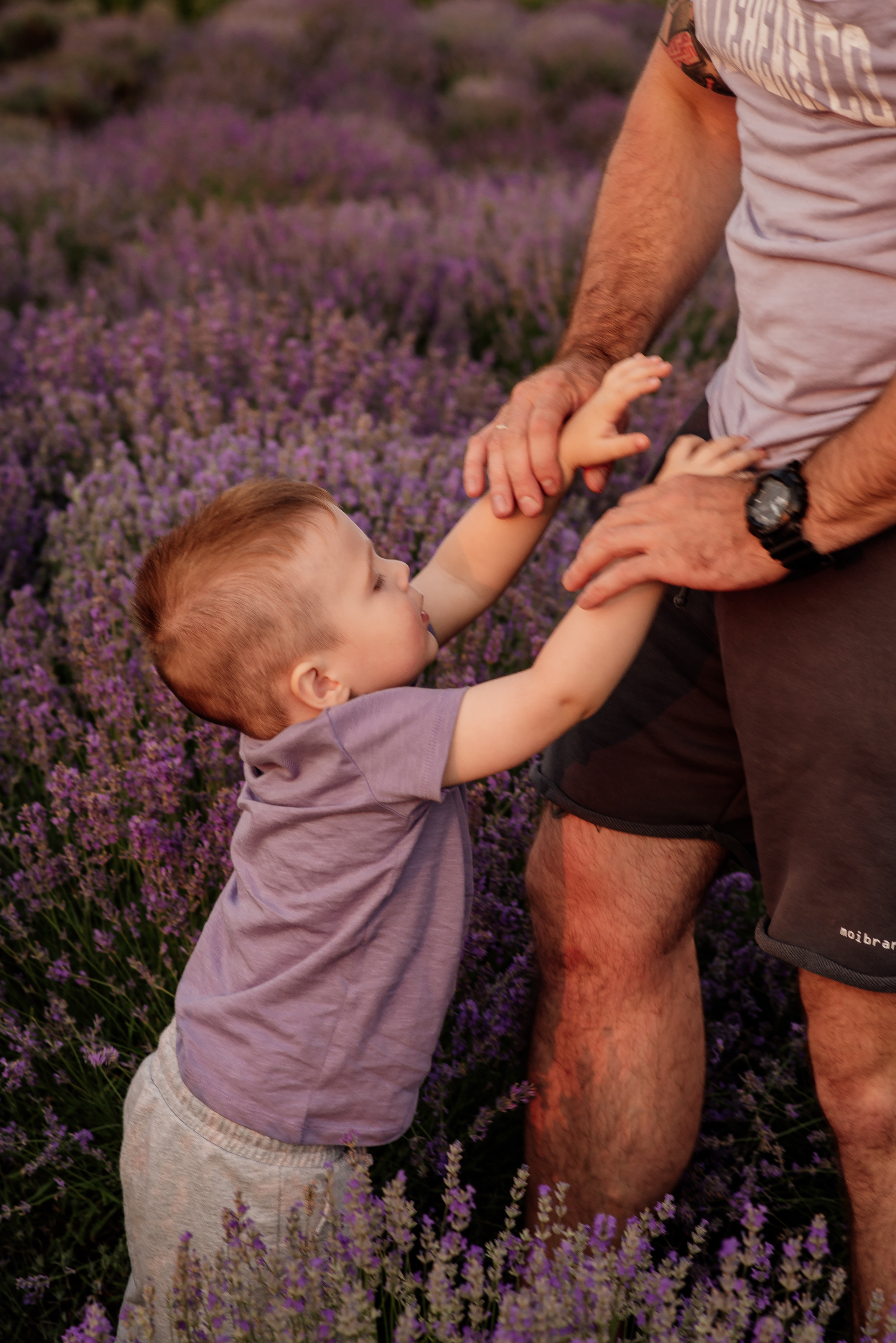 Сімейна фотосесія в лаванді. Микола, Христина, Марк, Макар, Меланія. Сімейний, дитячий та індивідуальний фотограф в м. Тернопіль, м. Львів