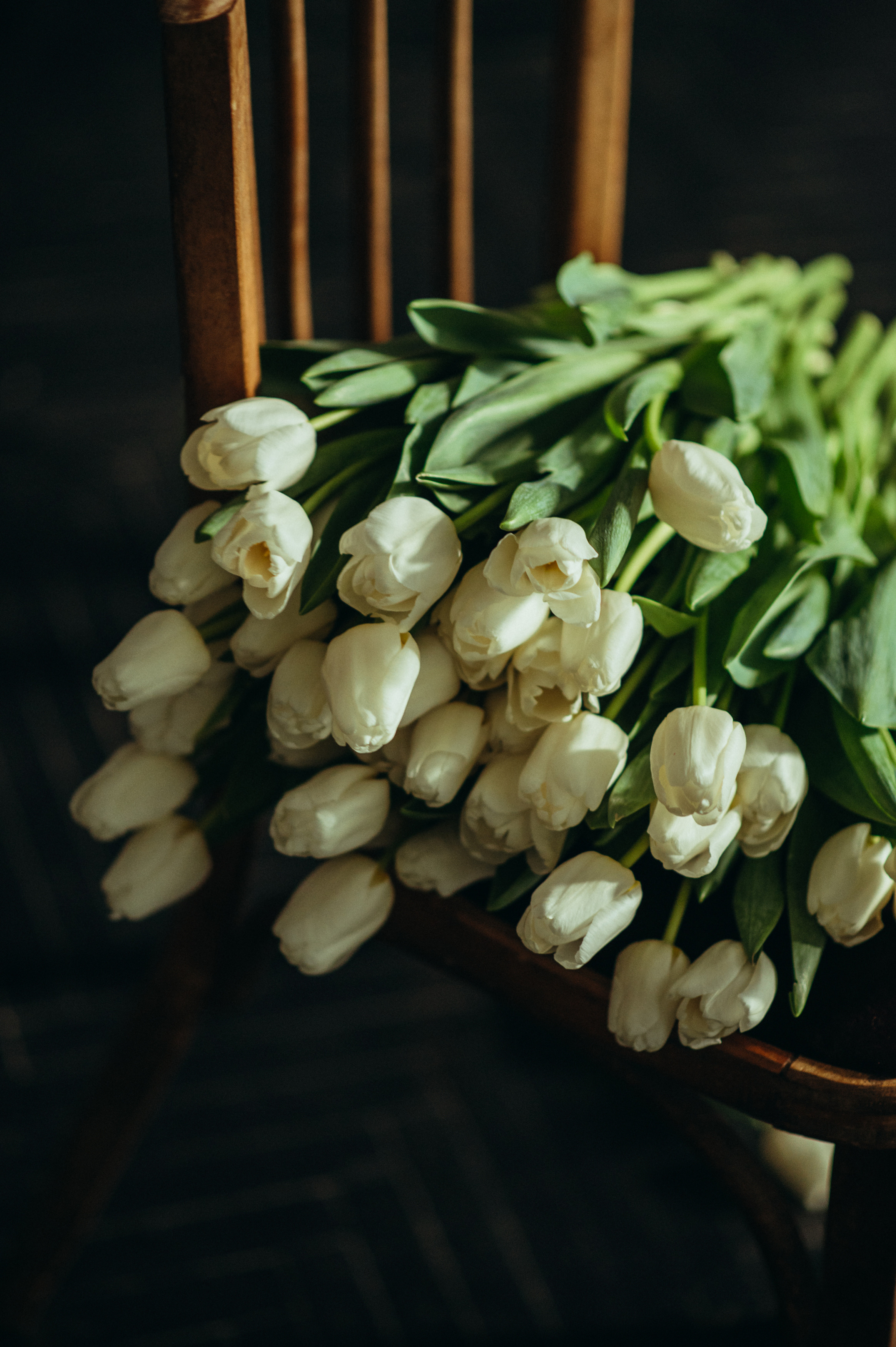 Tetiana. Сімейний, дитячий та індивідуальний фотограф в м. Тернопіль, м. Львів