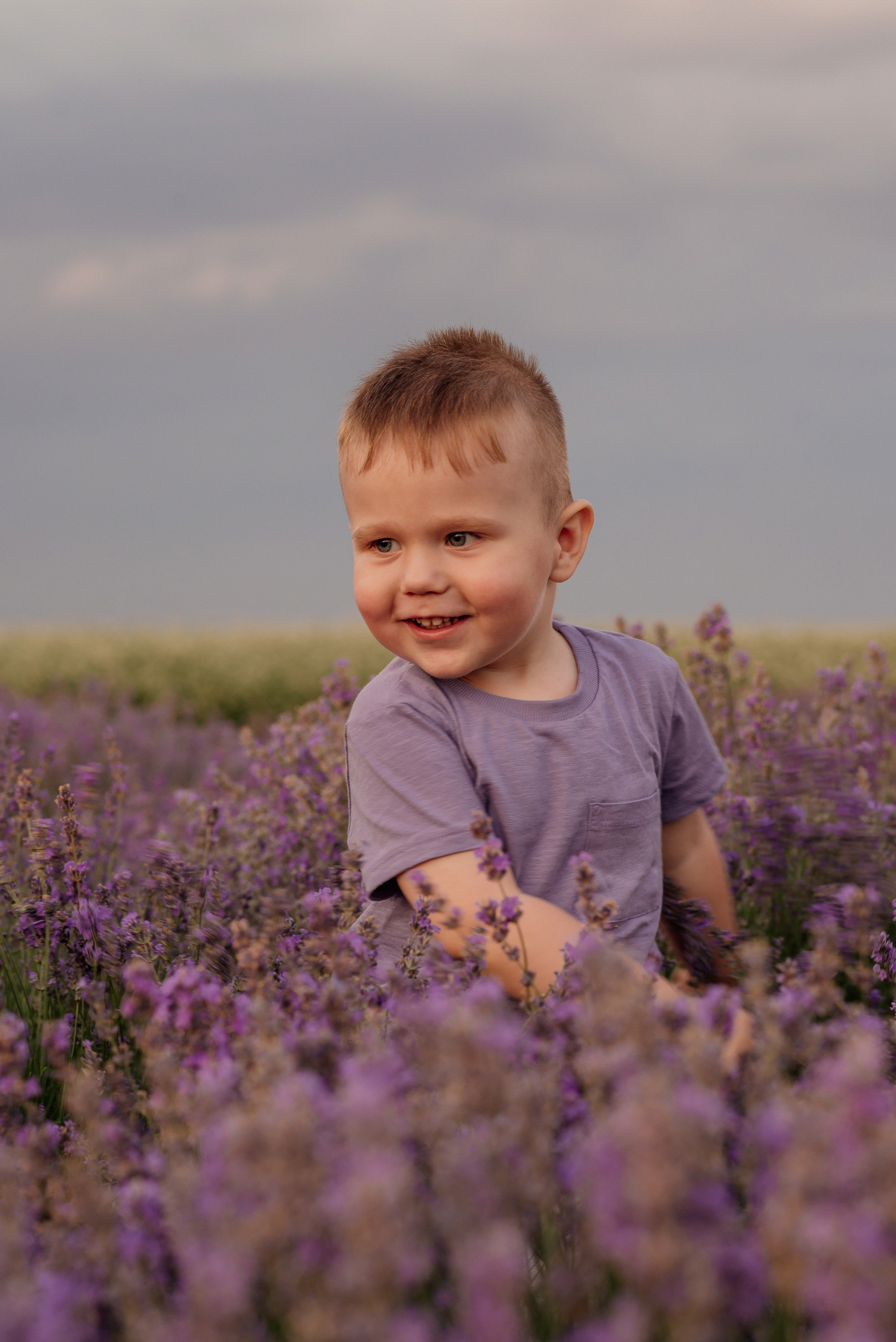 Сімейна фотосесія в лаванді. Микола, Христина, Марк, Макар, Меланія. Сімейний, дитячий та індивідуальний фотограф в м. Тернопіль, м. Львів