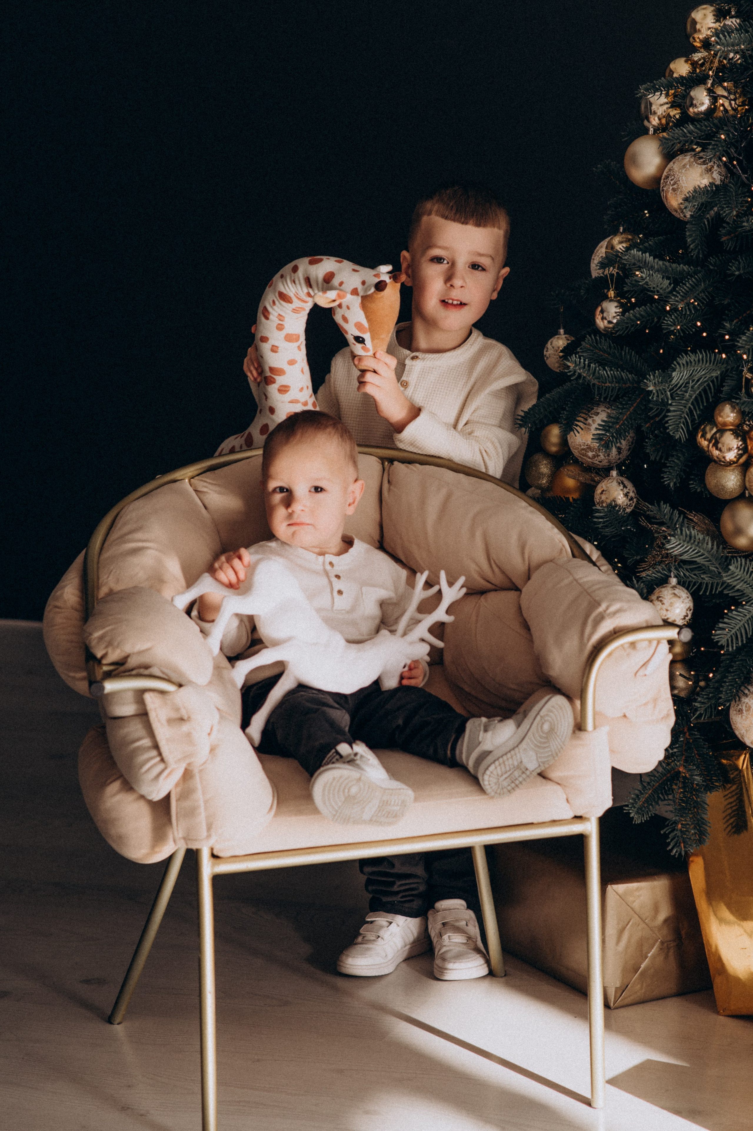 Новорічна фотосесія у студії, фотосесія Львів, сімейна фотосесія Тернопіль. Сімейний, дитячий та індивідуальний фотограф в м. Тернопіль, м. Львів