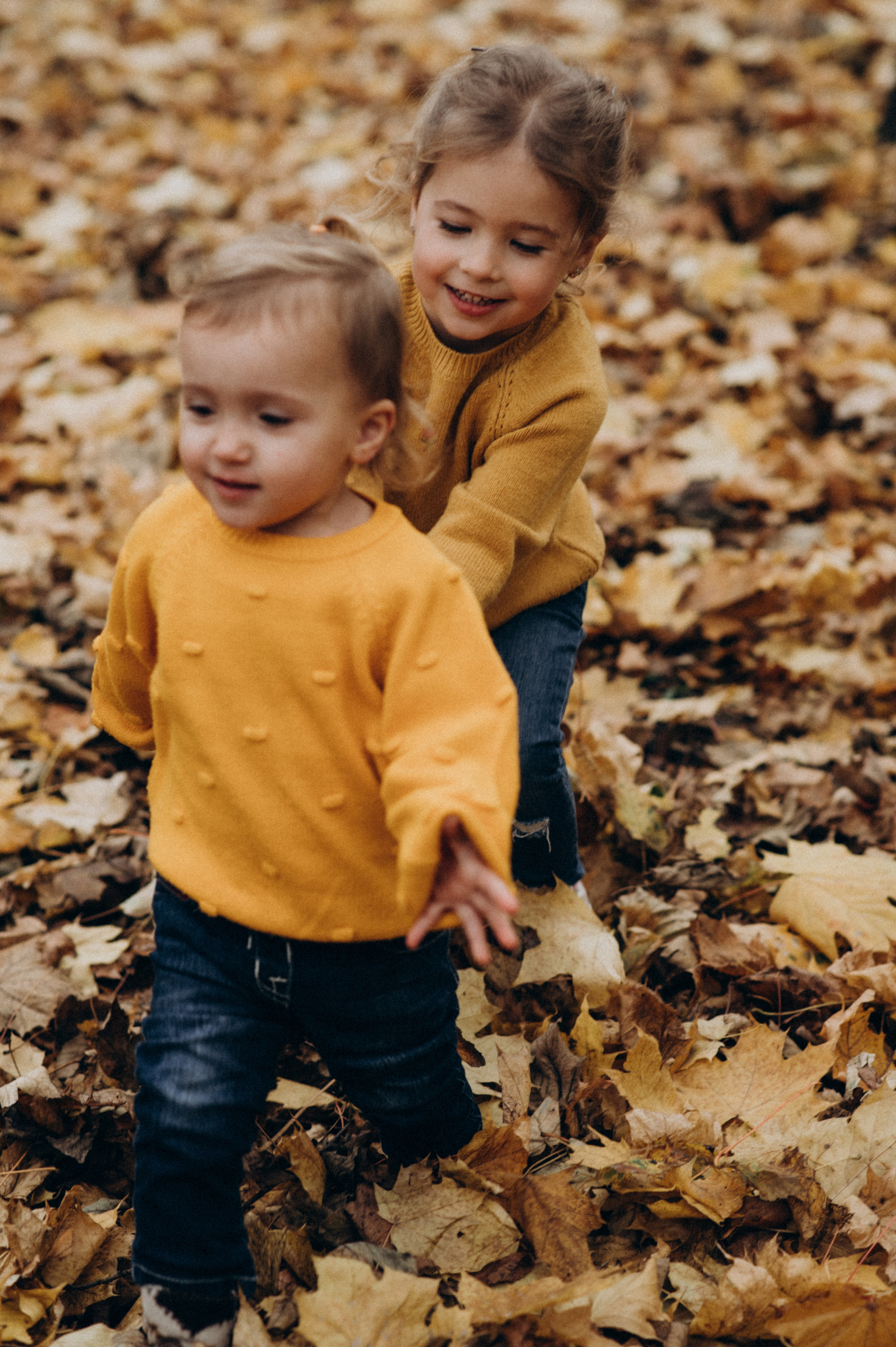 Осіння сімейна фотосесія. Сімейний, дитячий та індивідуальний фотограф в м. Тернопіль, м. Львів