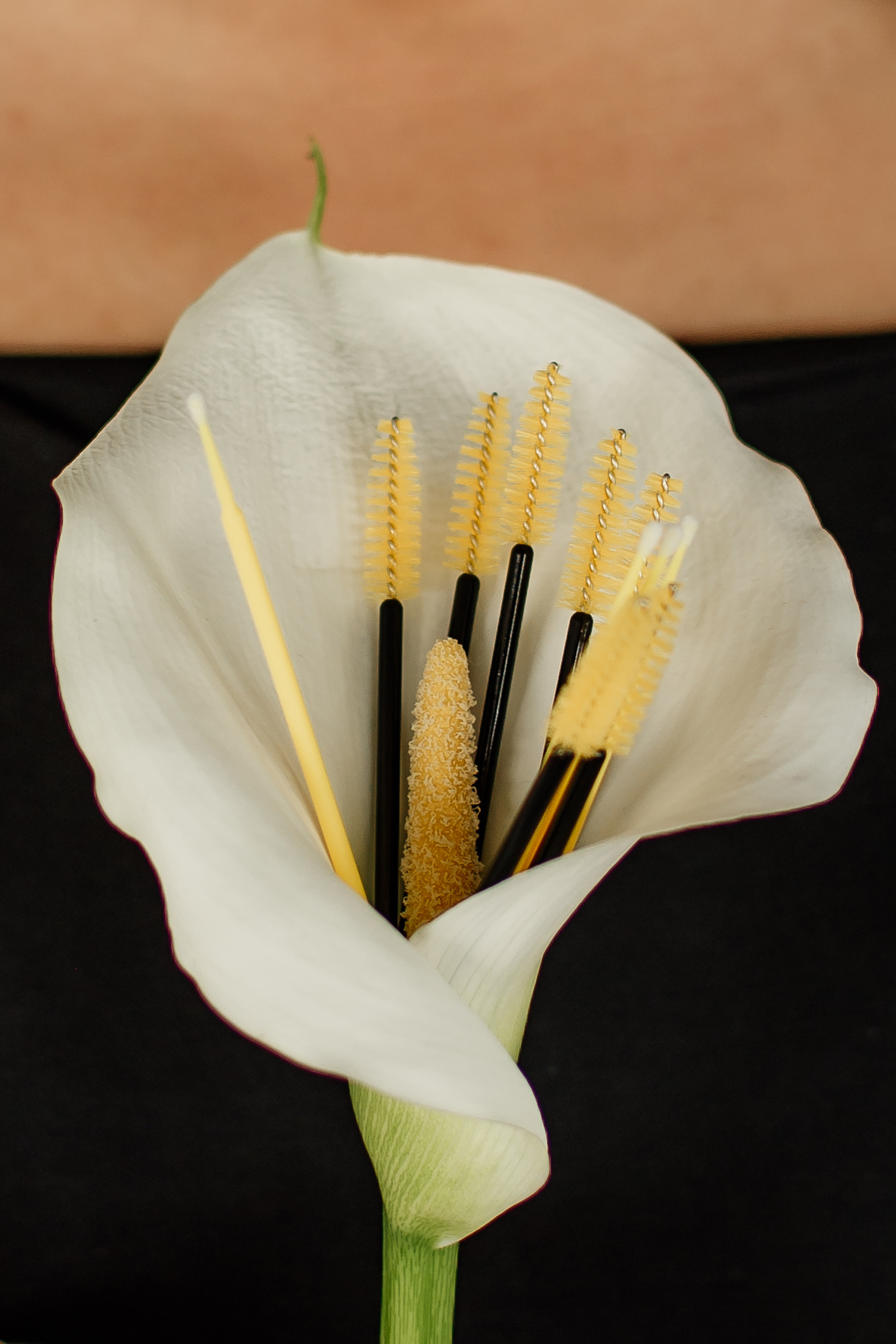 Індивідуальна фотосесія для майстра брів та робочого профілю салону. Сімейний, дитячий та індивідуальний фотограф в м. Тернопіль, м. Львів