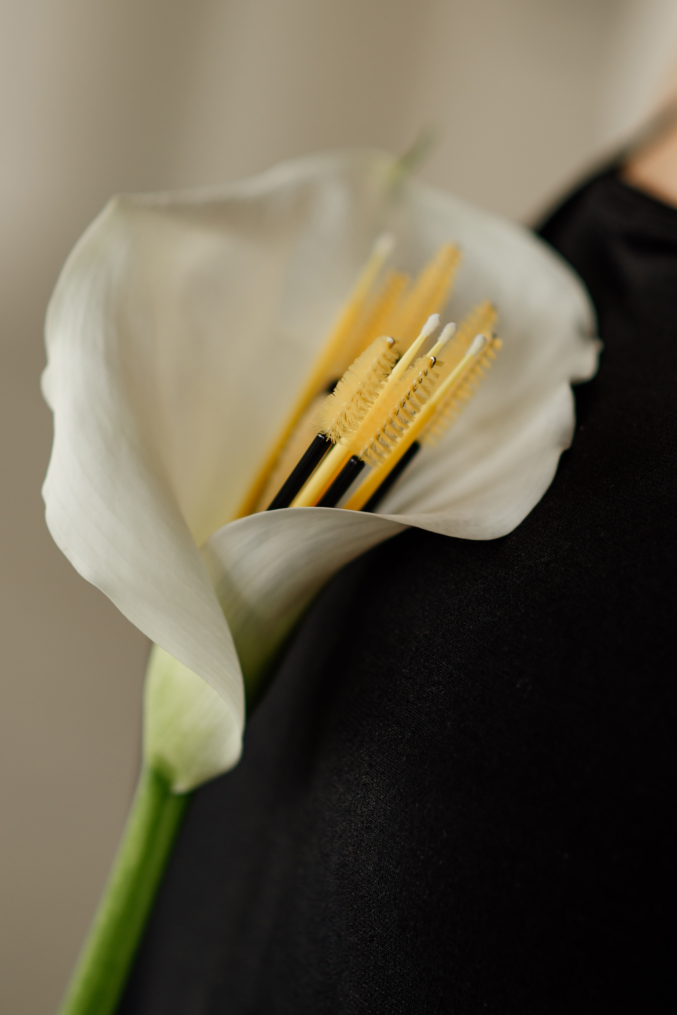 Індивідуальна фотосесія для майстра брів та робочого профілю салону. Сімейний, дитячий та індивідуальний фотограф в м. Тернопіль, м. Львів