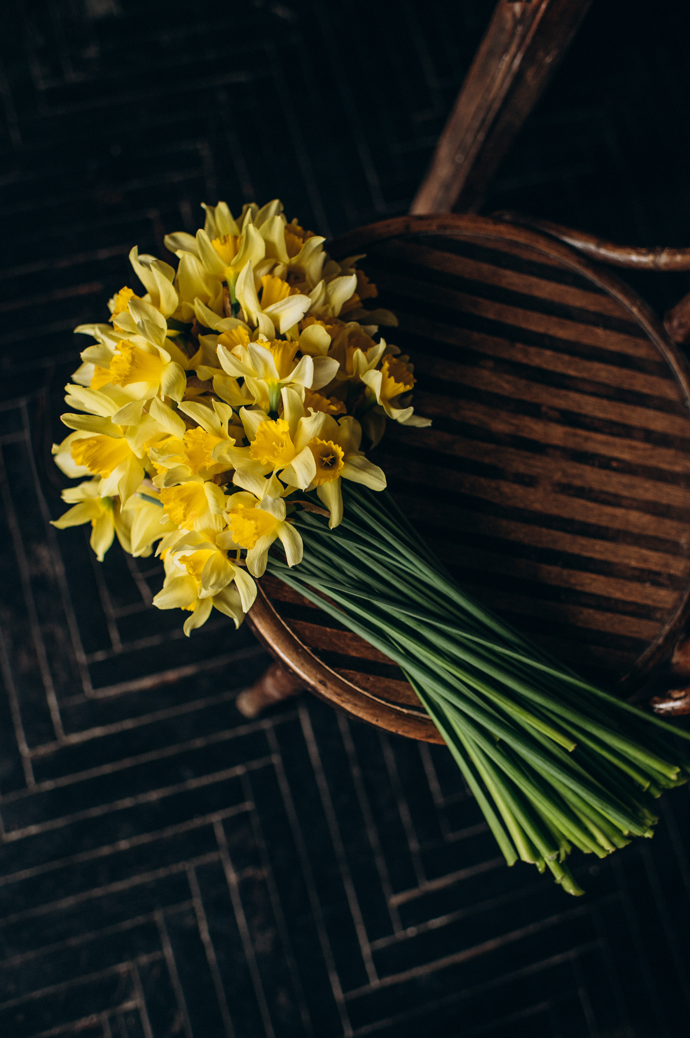 Kateryna. Сімейний, дитячий та індивідуальний фотограф в м. Тернопіль, м. Львів