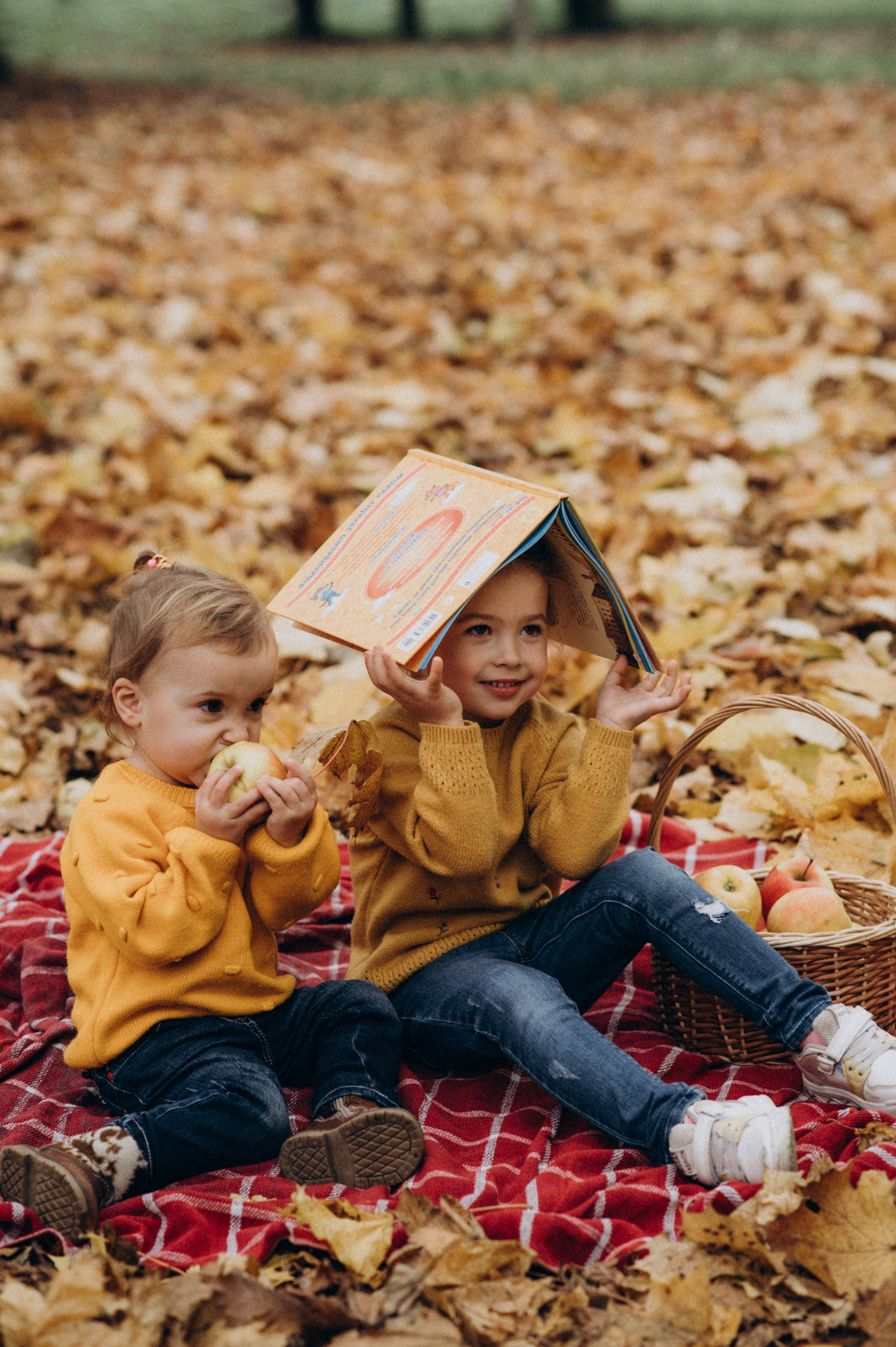 Осіння сімейна фотосесія. Сімейний, дитячий та індивідуальний фотограф в м. Тернопіль, м. Львів