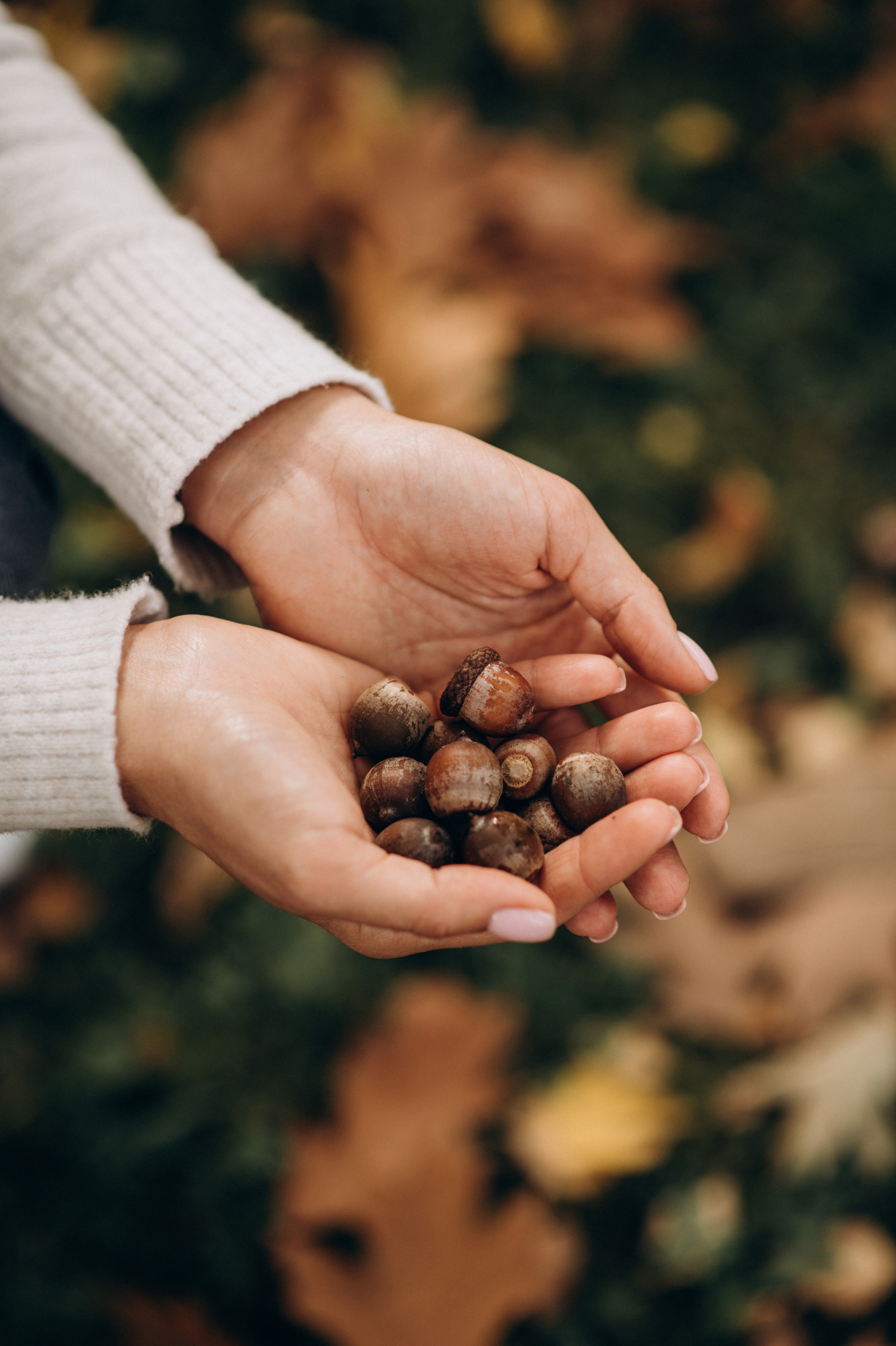 Контент зйомка для таргетолога. Сімейний, дитячий та індивідуальний фотограф в м. Тернопіль, м. Львів