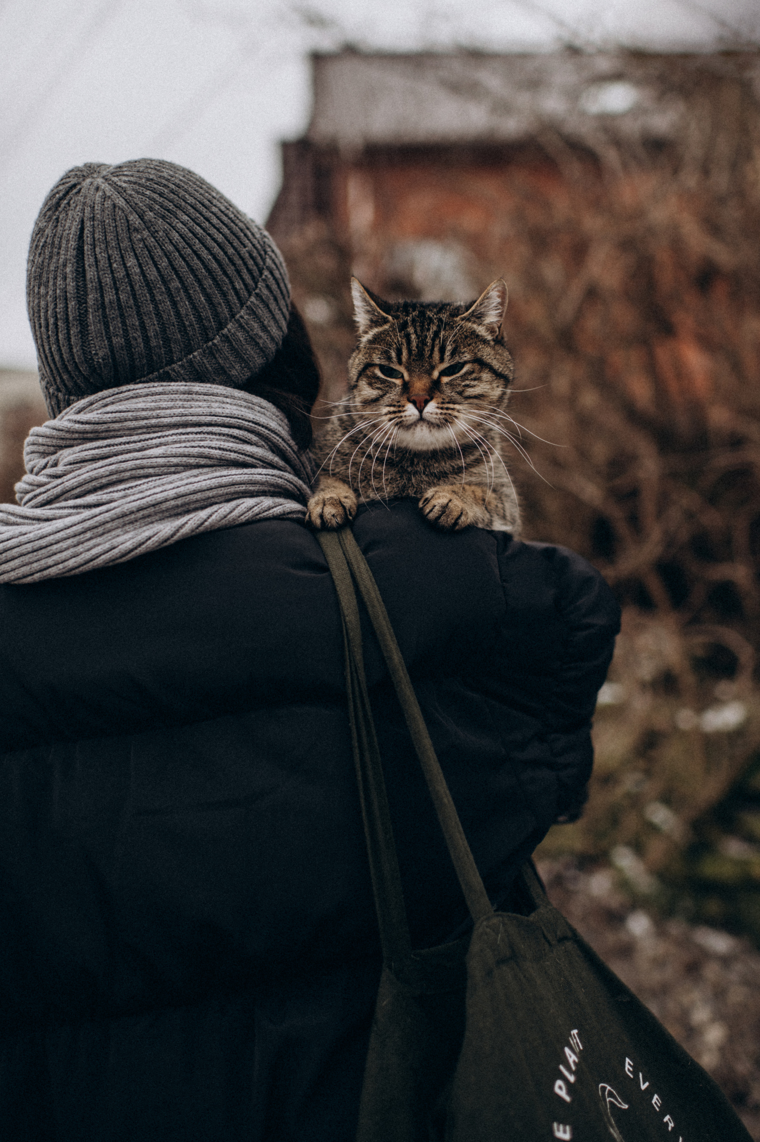 Фотосесія з котиком. Сімейний, дитячий та індивідуальний фотограф в м. Тернопіль, м. Львів