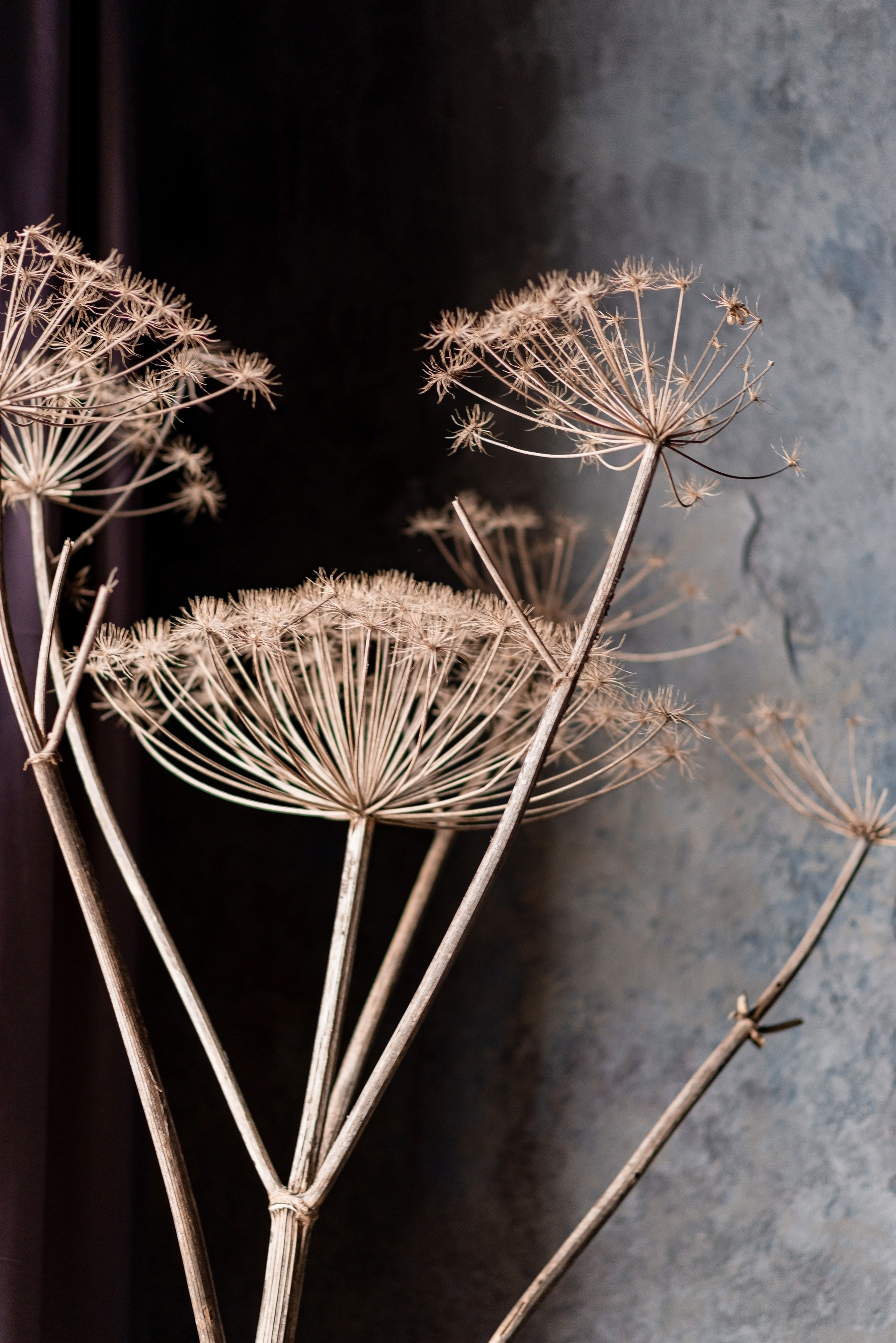 Індивідуальна фотосесія. Львів. Сімейний, дитячий та індивідуальний фотограф в м. Тернопіль, м. Львів