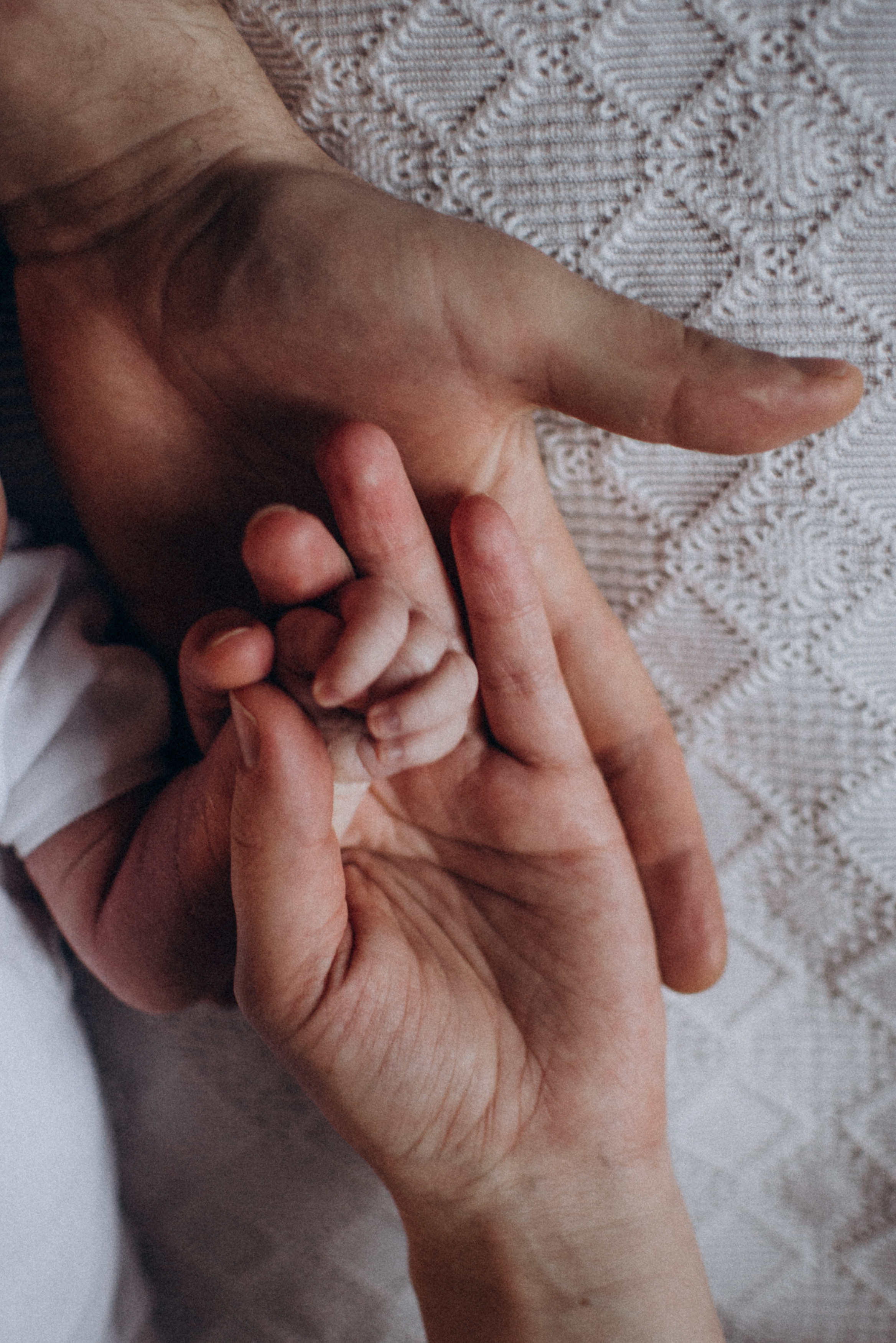 Фотосесія новонароджених Тернопіль, фотосесія newborn, фотосесія ньюборн Тернопіль, фотосесія немовлят, сімейний фотограф Тернопіль. Сімейний, дитячий та індивідуальний фотограф в м. Тернопіль, м. Львів