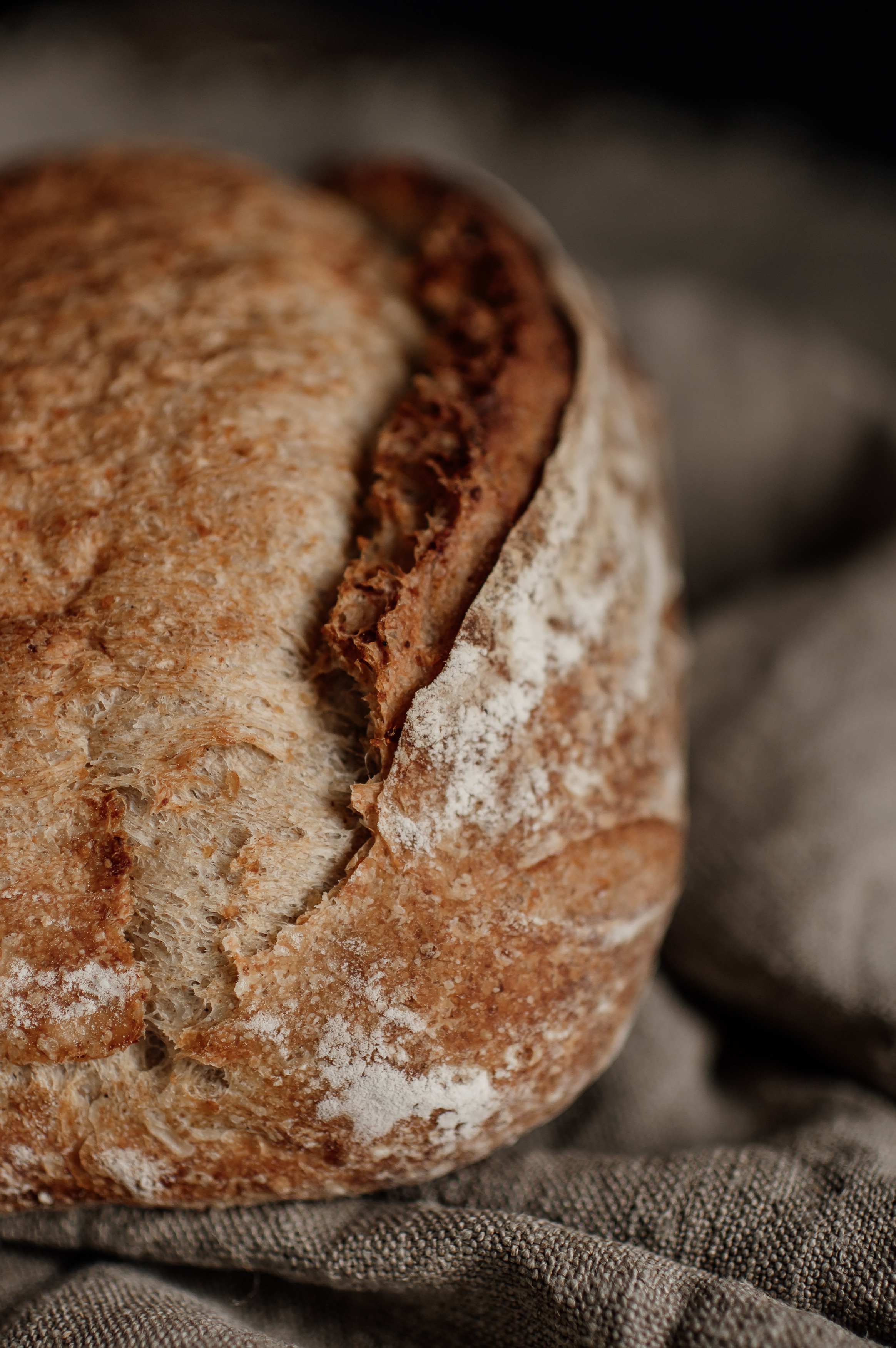 Зйомка для бренду Zerno Bakery. Тернопіль. Сімейний, дитячий та індивідуальний фотограф в м. Тернопіль, м. Львів