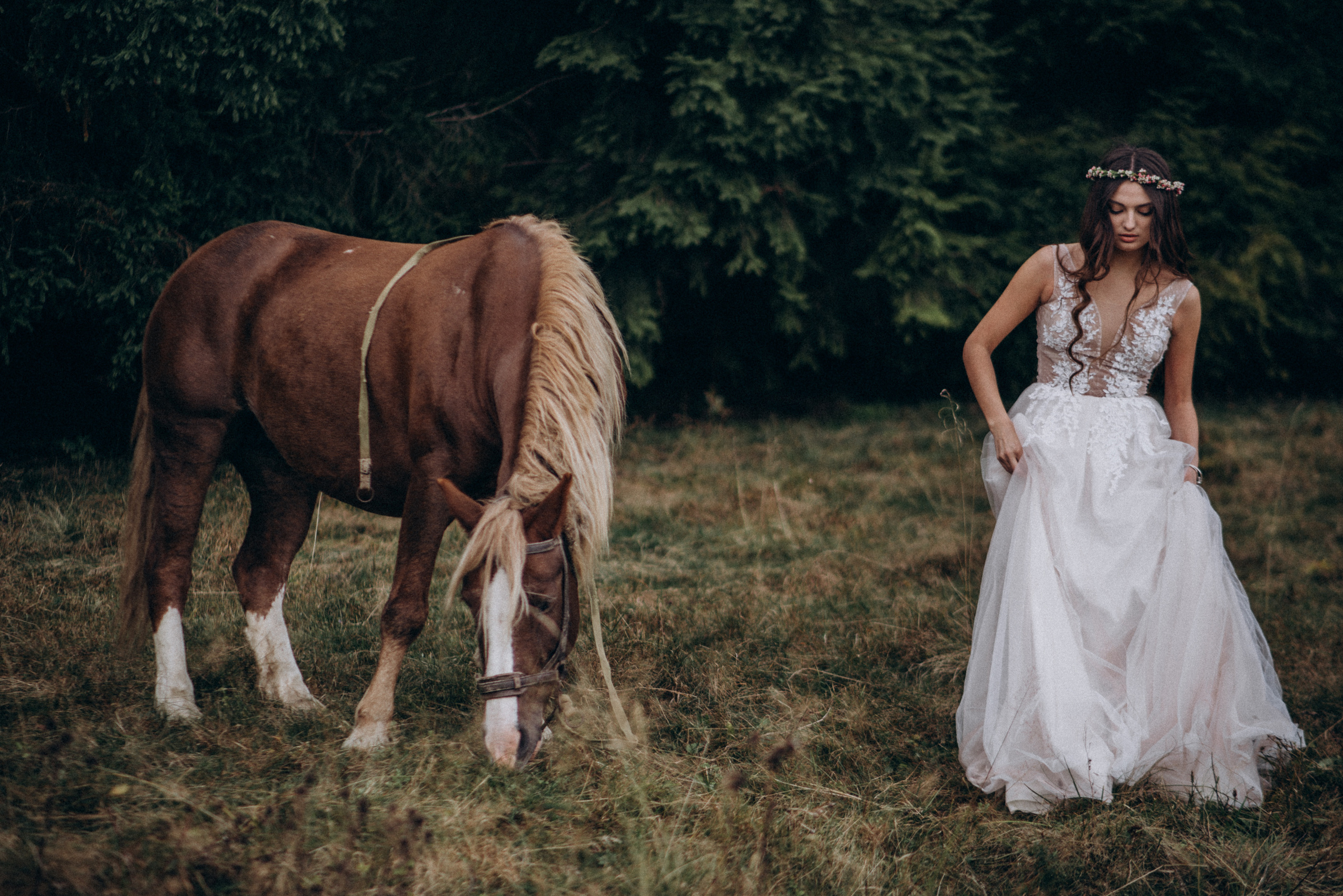 Весільна прогулянка в осінніх Карпатах. Сімейний, дитячий та індивідуальний фотограф в м. Тернопіль, м. Львів