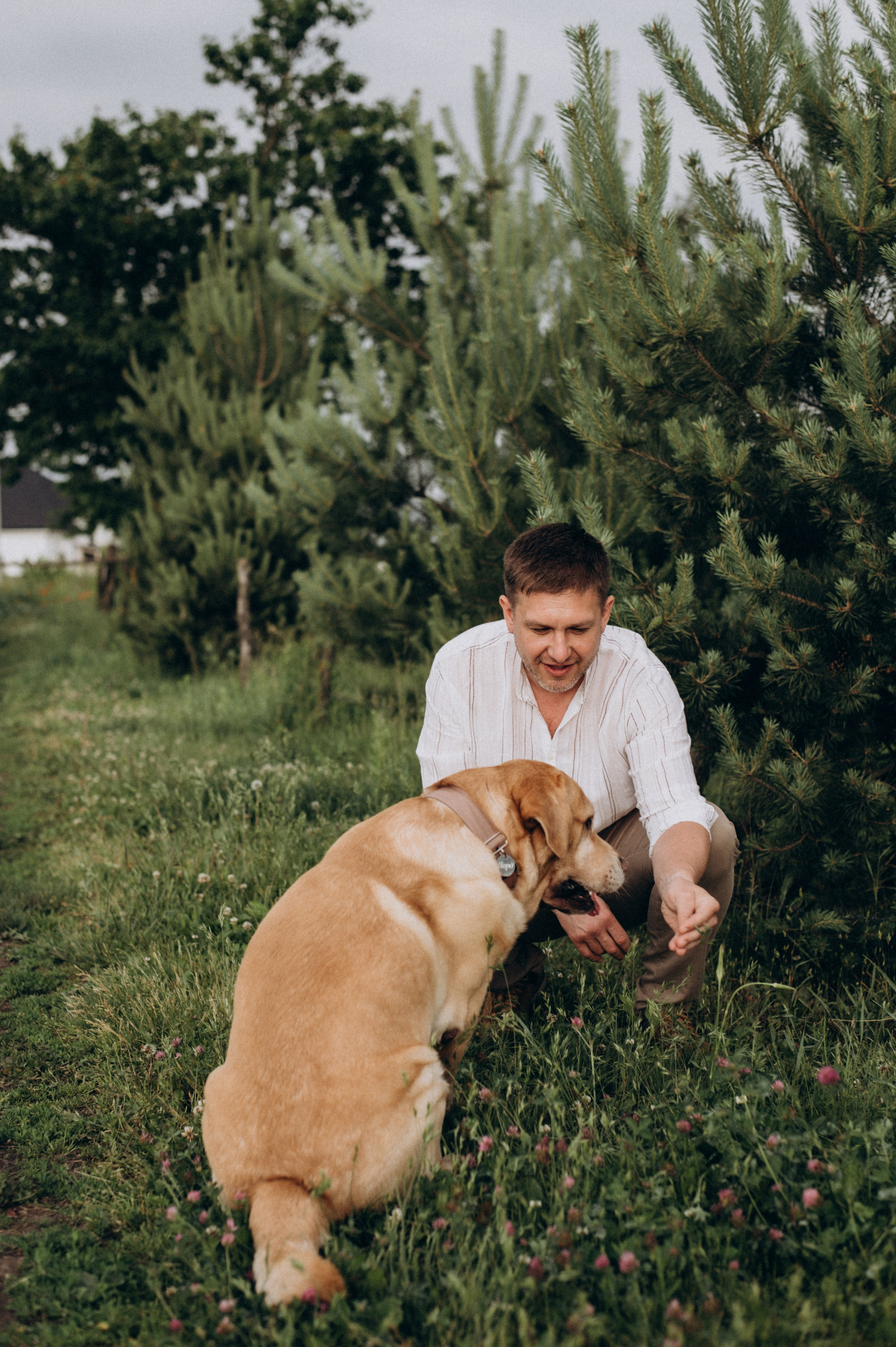 Сімейна фотосесія на природі, зйомка з собакою, фотосесія лавсторі Тернопіль. Сімейний, дитячий та індивідуальний фотограф в м. Тернопіль, м. Львів